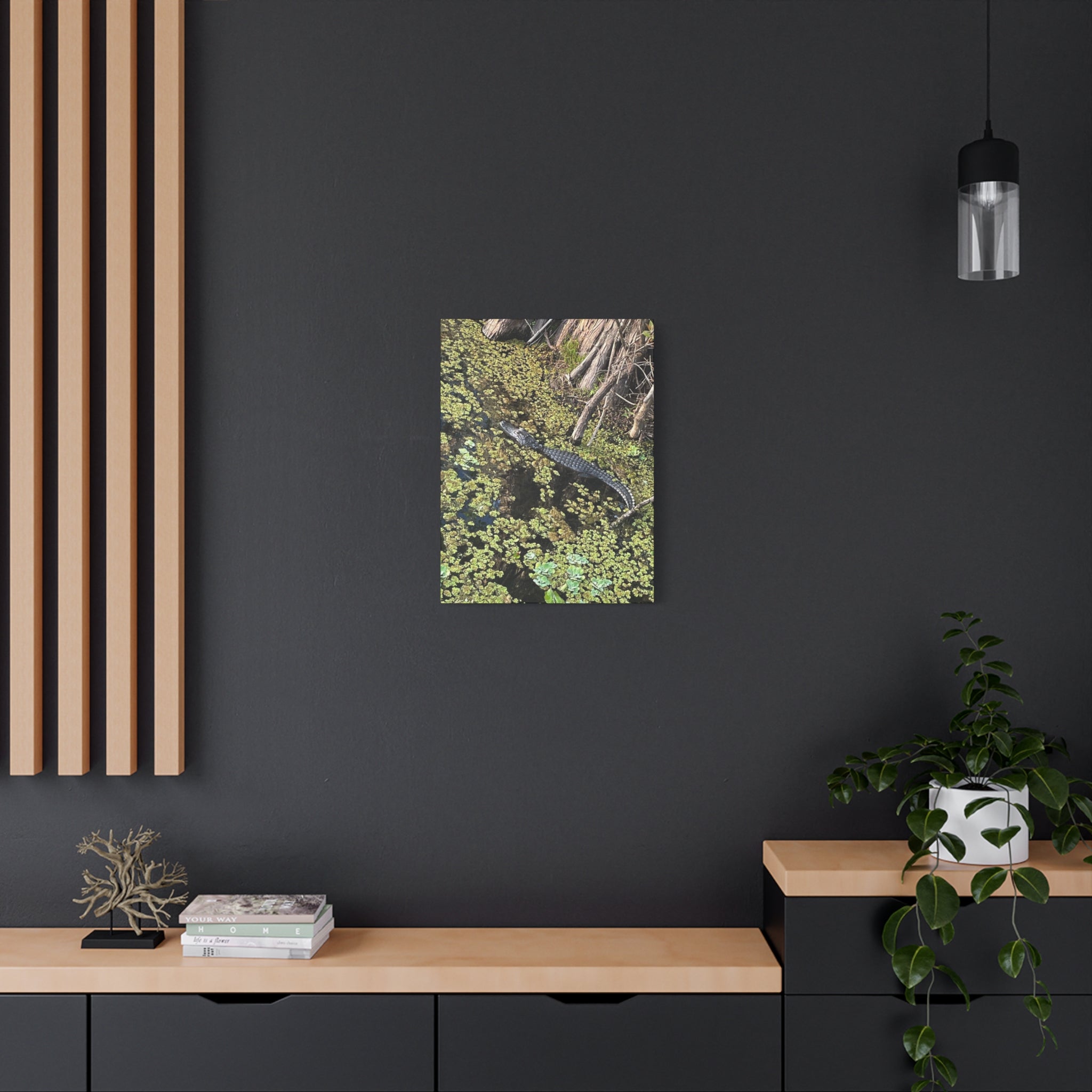 Alligator Photography Canvas Print — Matte Stretched Wall Art