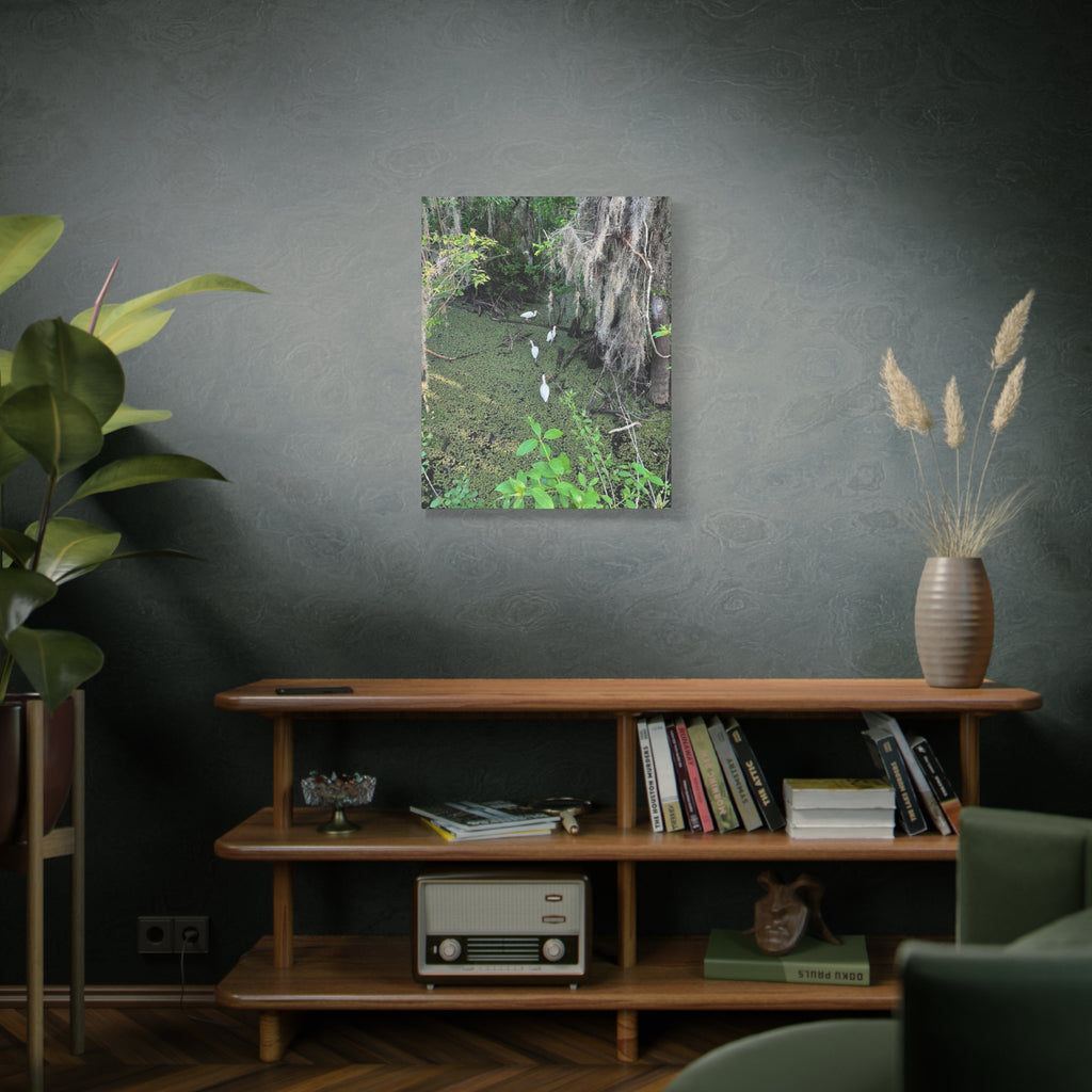 Swamp Egrets Canvas Print — Matte Stretched Nature Wall Art