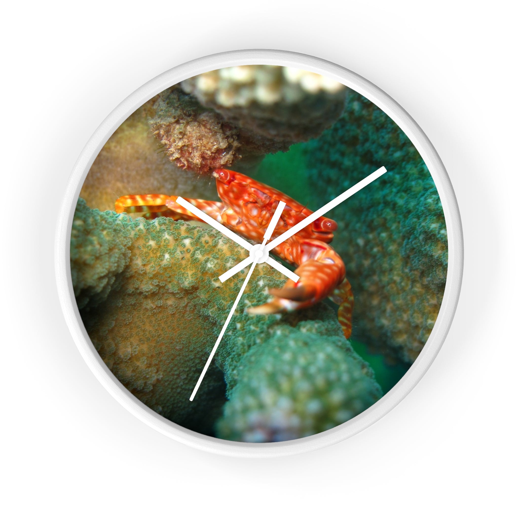 Coral Reef Crab Wall Clock — Vibrant Underwater Ocean Decor