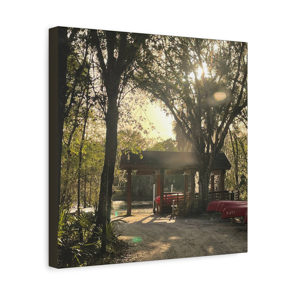 Hazy Morning Kayak - Sunlit Forest Matte Stretched Wall Art