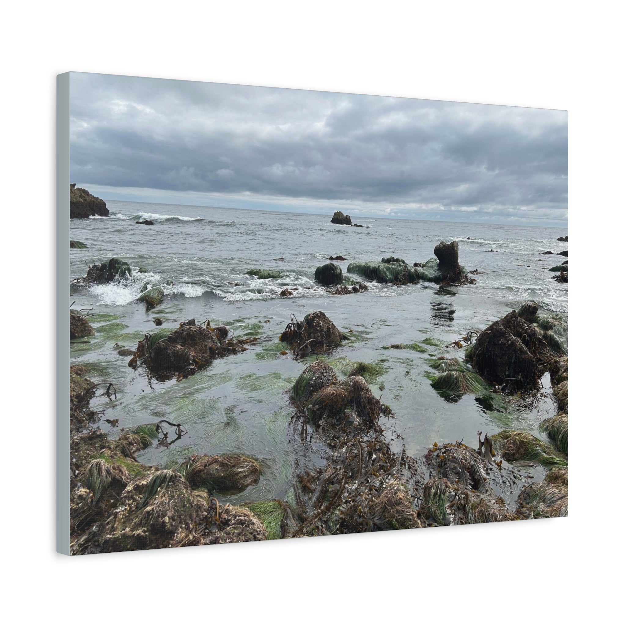Coastal Tidepool Canvas Wall Art – Moody Gray Seashore Matte Stretched Canvas