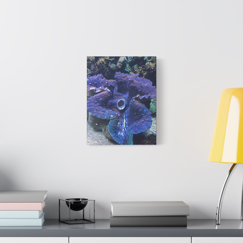 Blue Tridacna Clam Matte Canvas Print — Vibrant Ocean Coral Wall Art