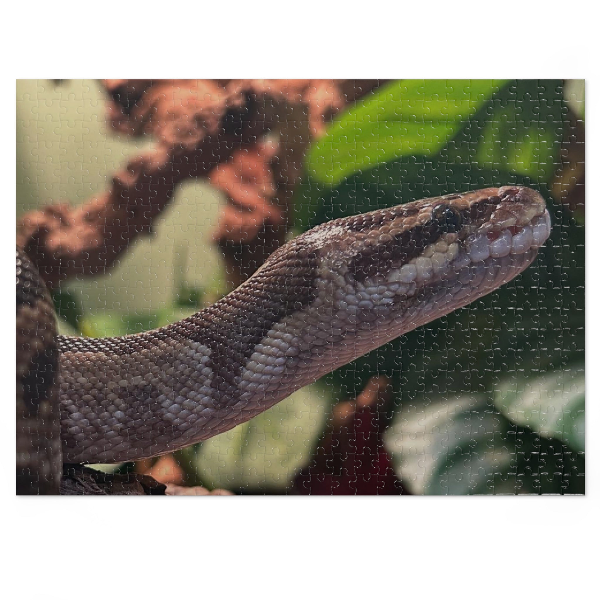 Snake Puzzle — Realistic Ball Python Jigsaw Puzzle with Tin