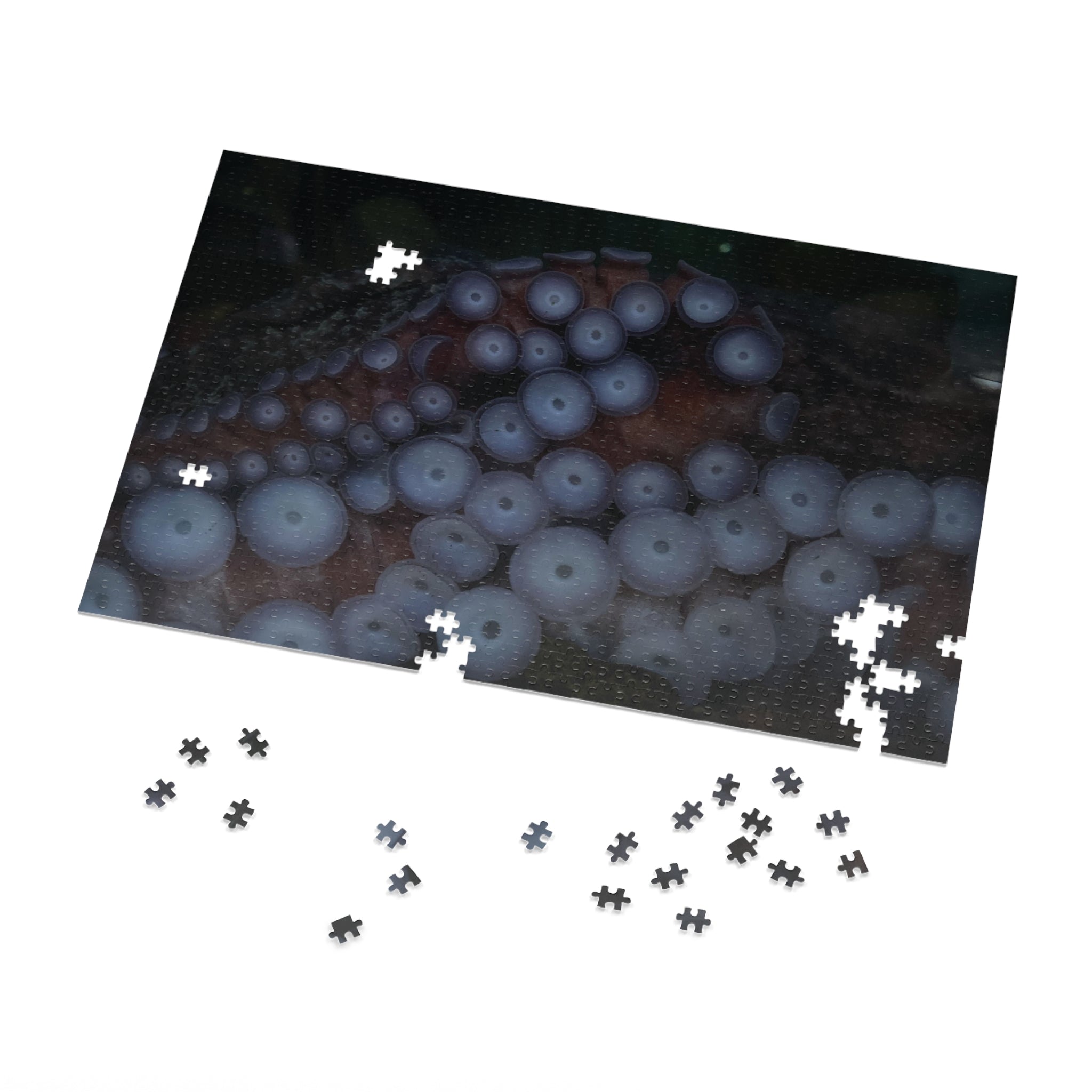 Octopus Suckers Jigsaw Puzzle with Tin — Marine Life Ocean Decor Gift