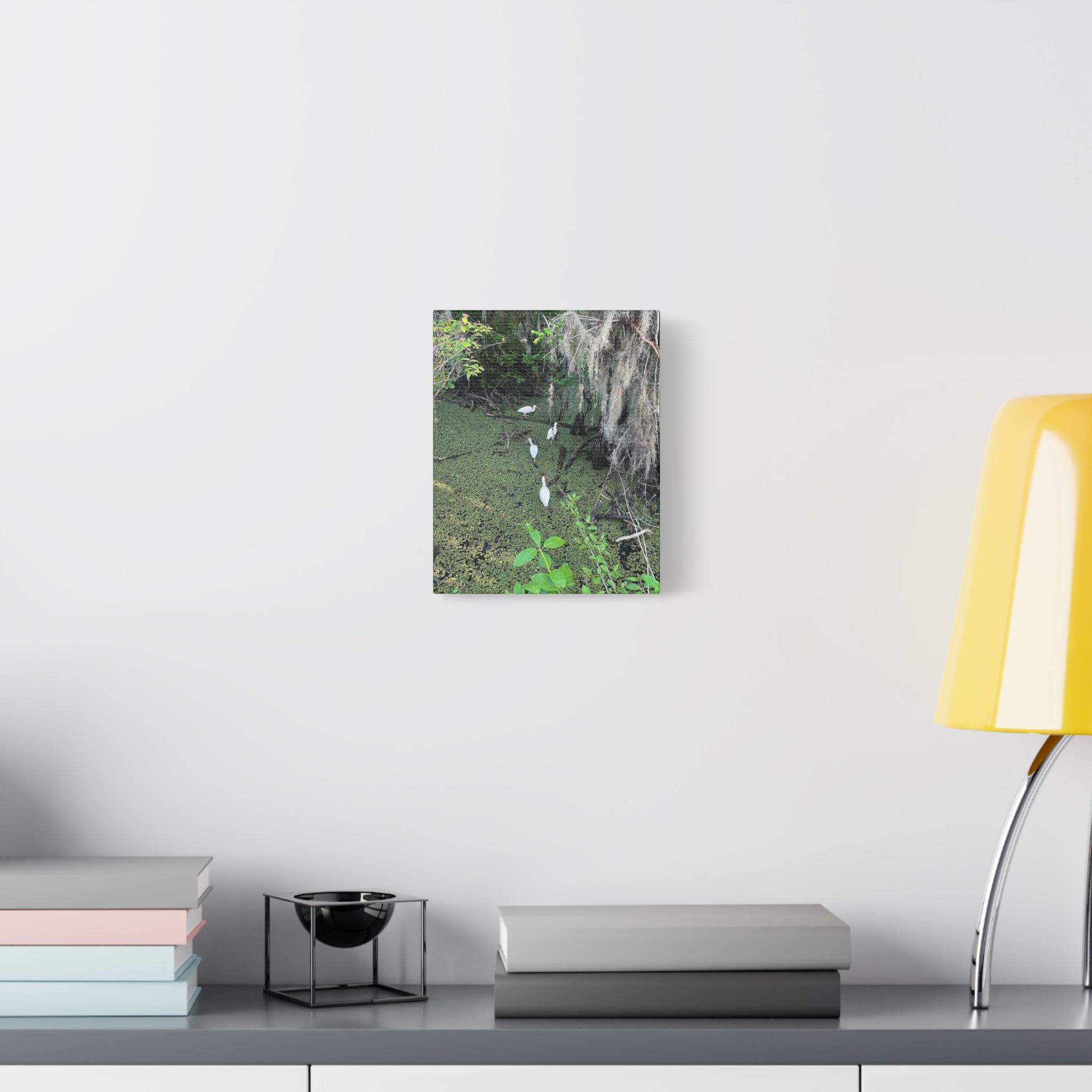 Swamp Egrets Canvas Print — Matte Stretched Nature Wall Art