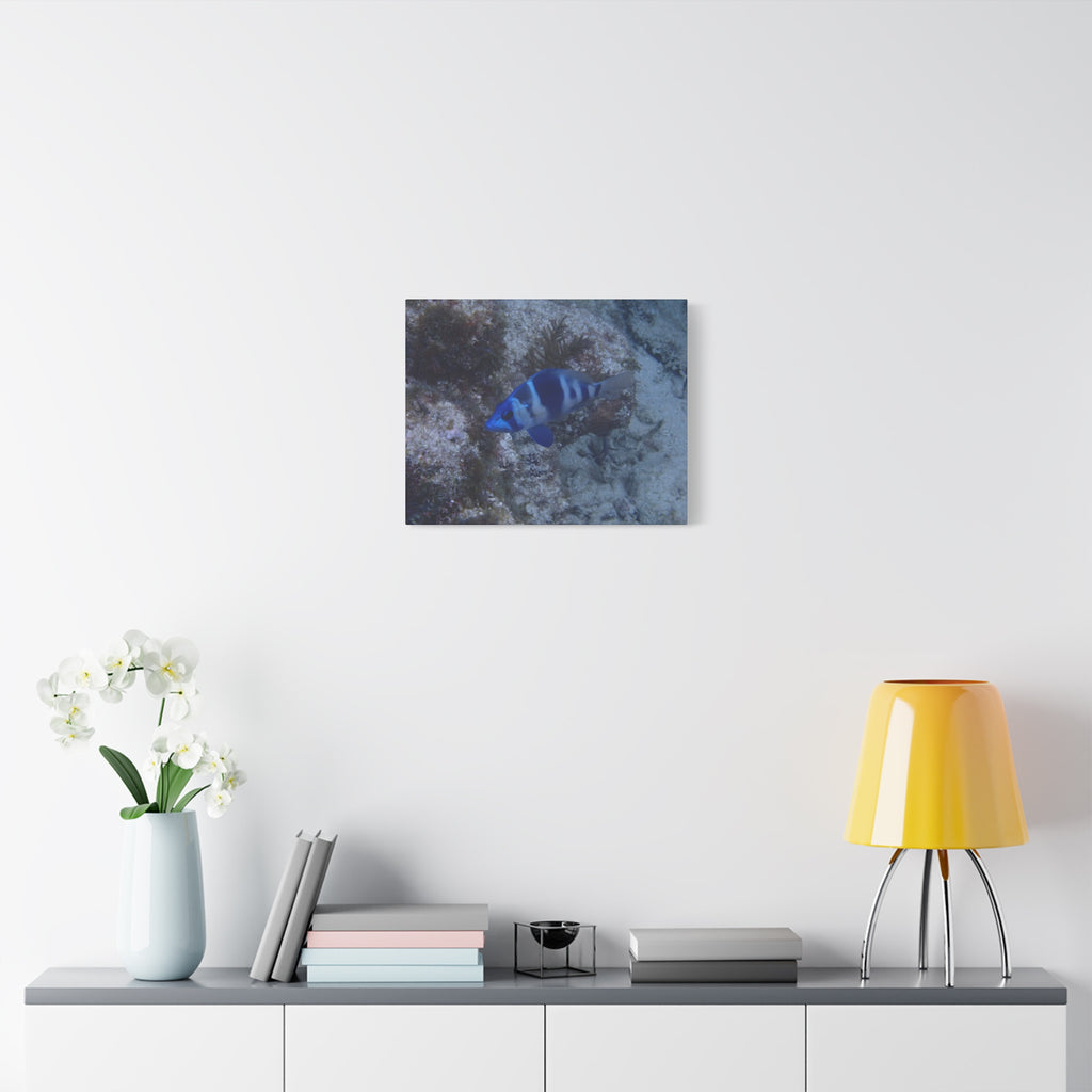 Indigo Hamlet Canvas Print — Underwater Matte Stretched Wall Art