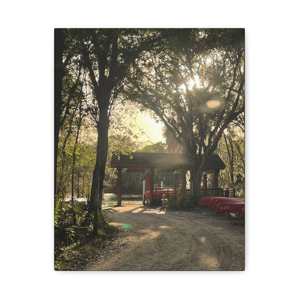 Hazy Morning Kayak - Sunlit Forest Matte Stretched Wall Art