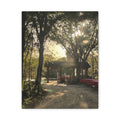 Hazy Morning Kayak - Sunlit Forest Matte Stretched Wall Art