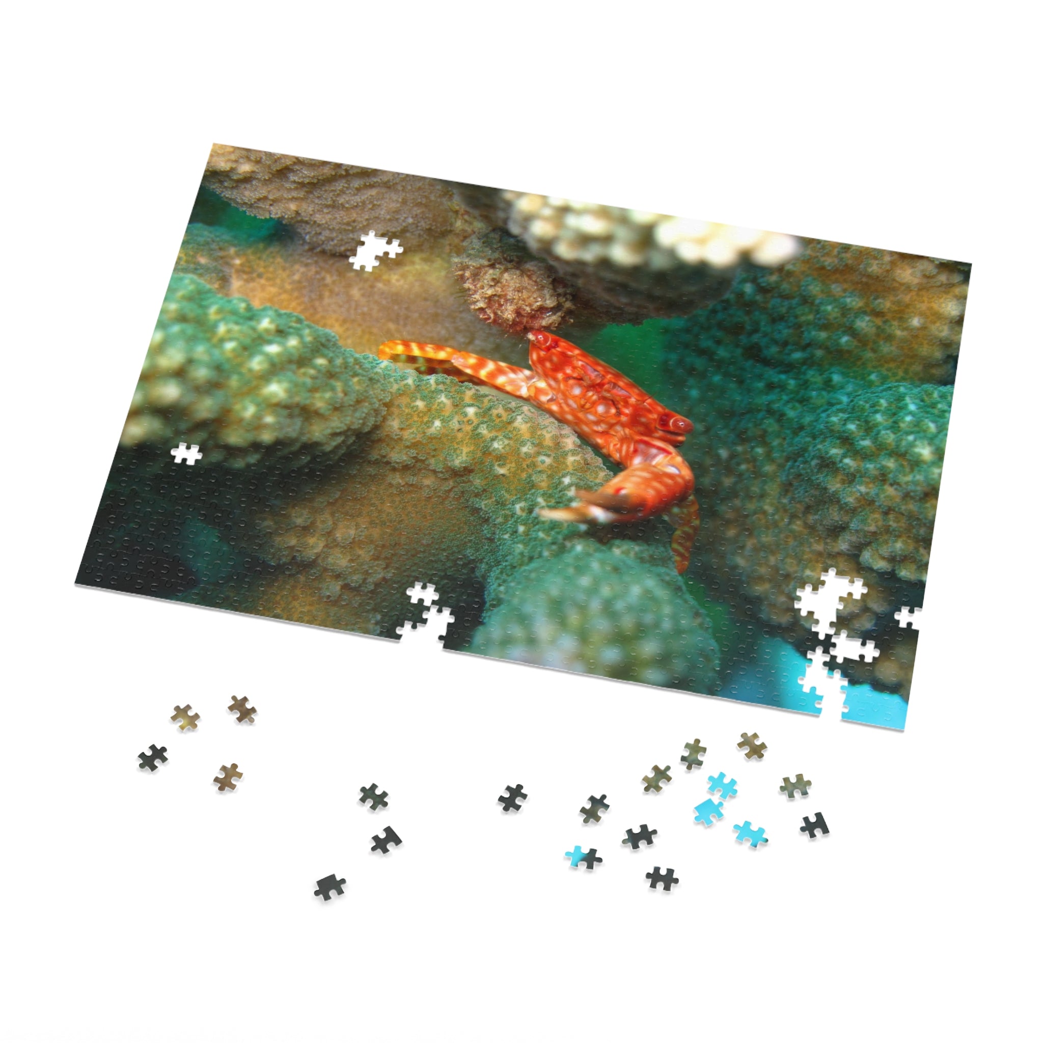 Coral Reef Crab Jigsaw Puzzle (with Tin) — Ocean Puzzle Gift