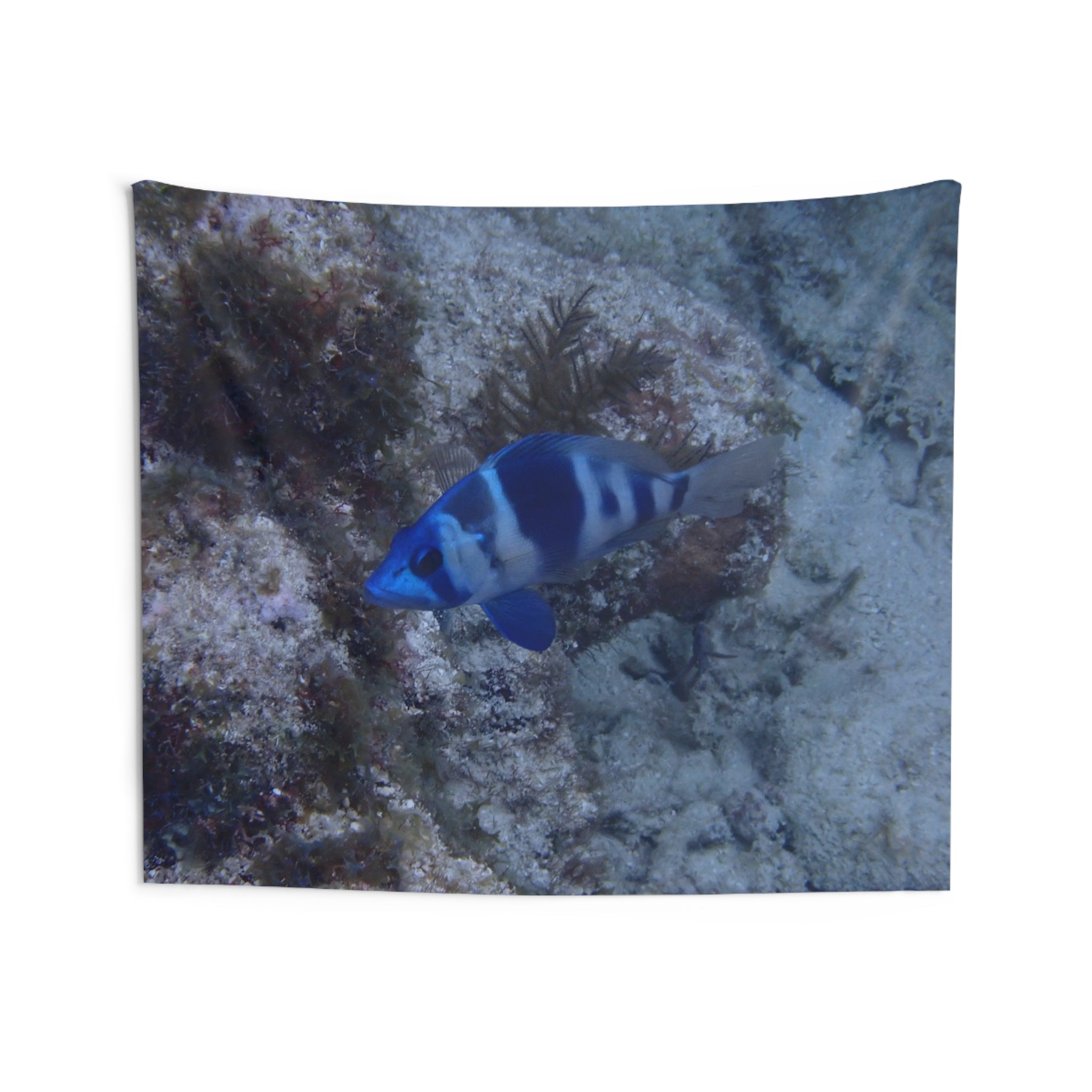 Indigo Hamlet Fish Tapestry — Underwater Ocean Wall Art for Beach Rooms & Marine Décor