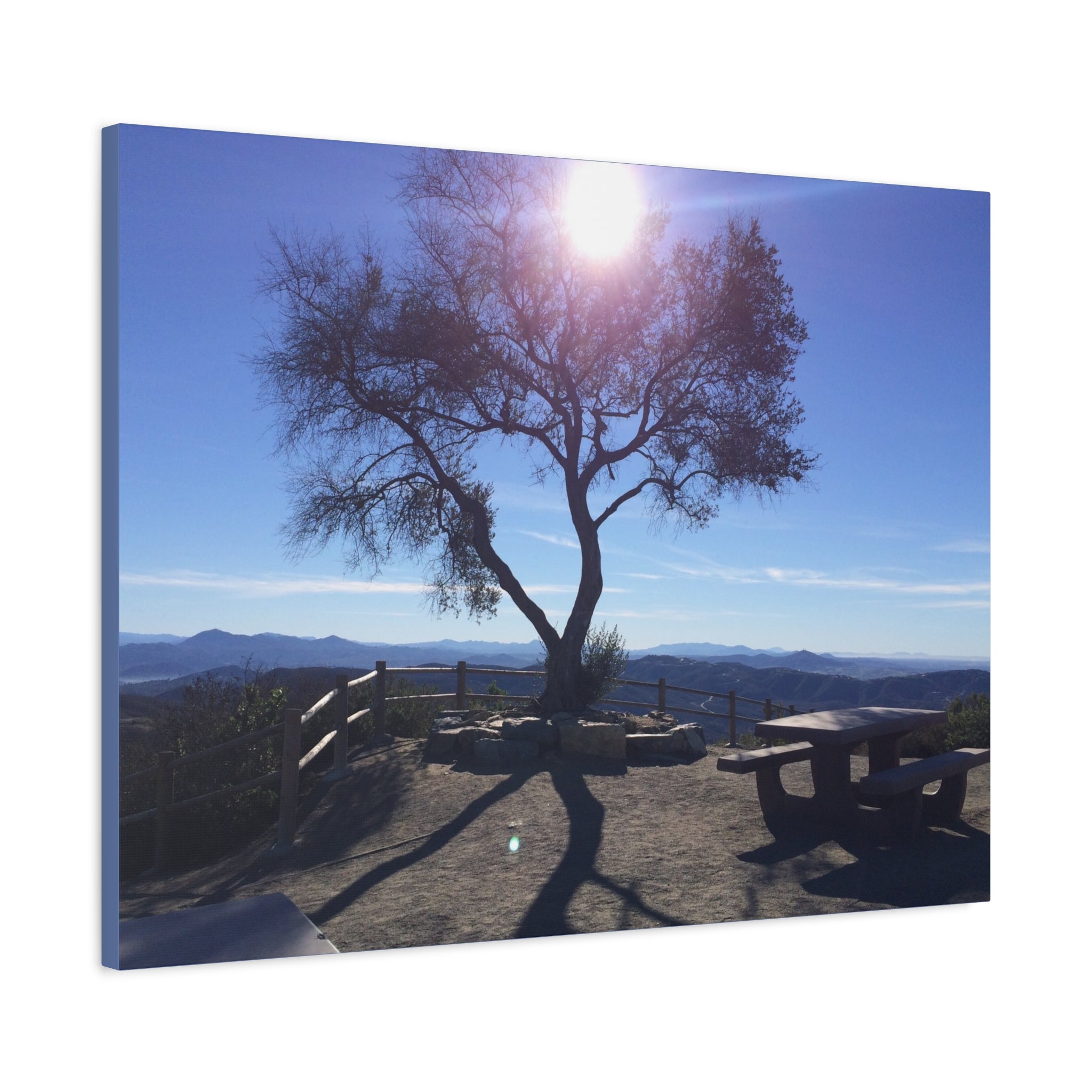 Sunlit Ridge Tree Matte Canvas Print — Scenic Landscape Wall Art