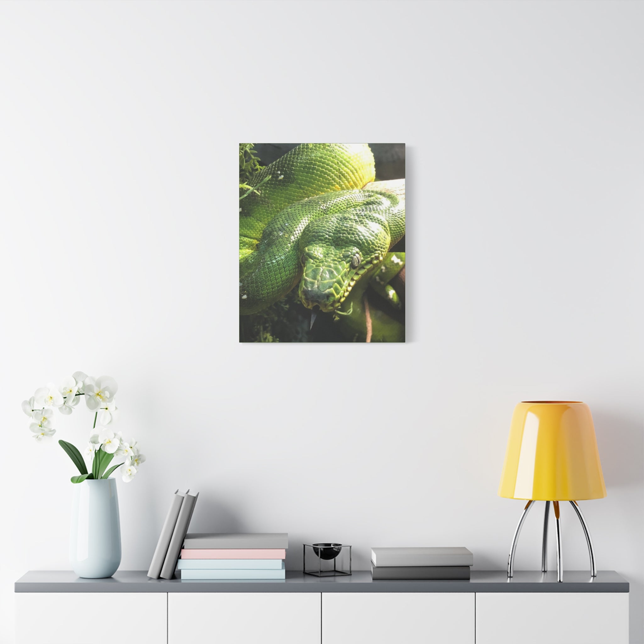 Green Tree Python Canvas Print — Tropical Snake Wall Art (Matte Stretched)