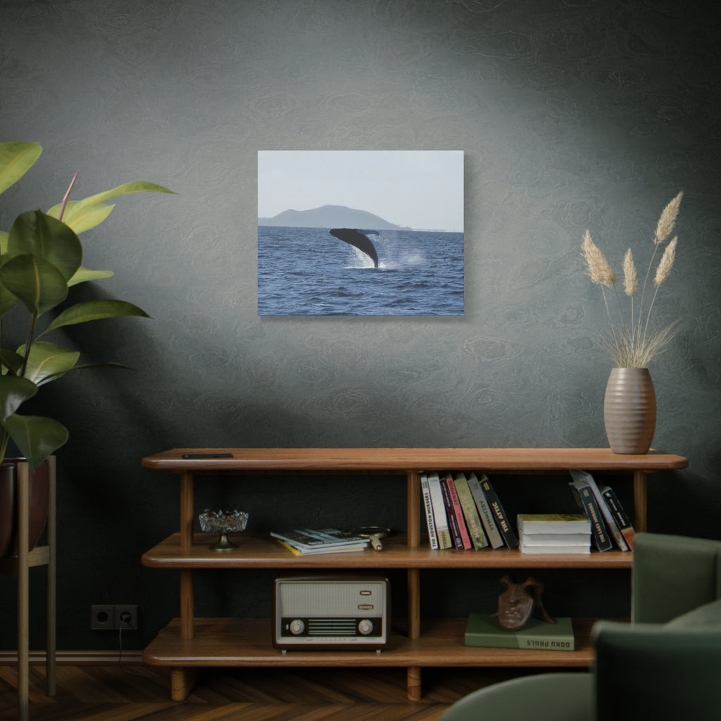 Humpback Whale Breach Matte Canvas Wall Art