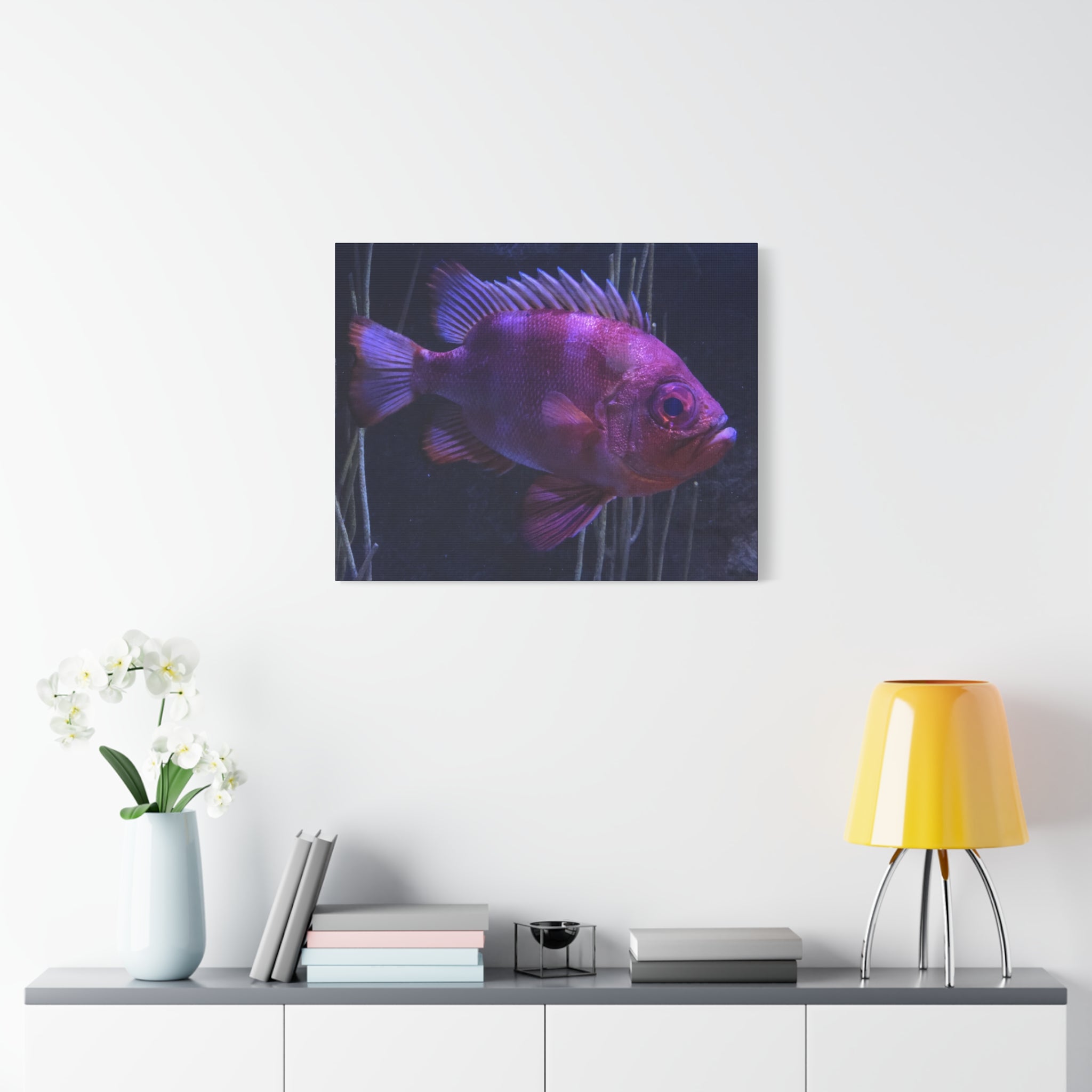 Popeye Catalufa Canvas Print — Vibrant Ocean Wall Art