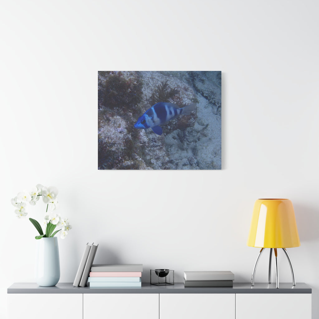 Indigo Hamlet Canvas Print — Underwater Matte Stretched Wall Art
