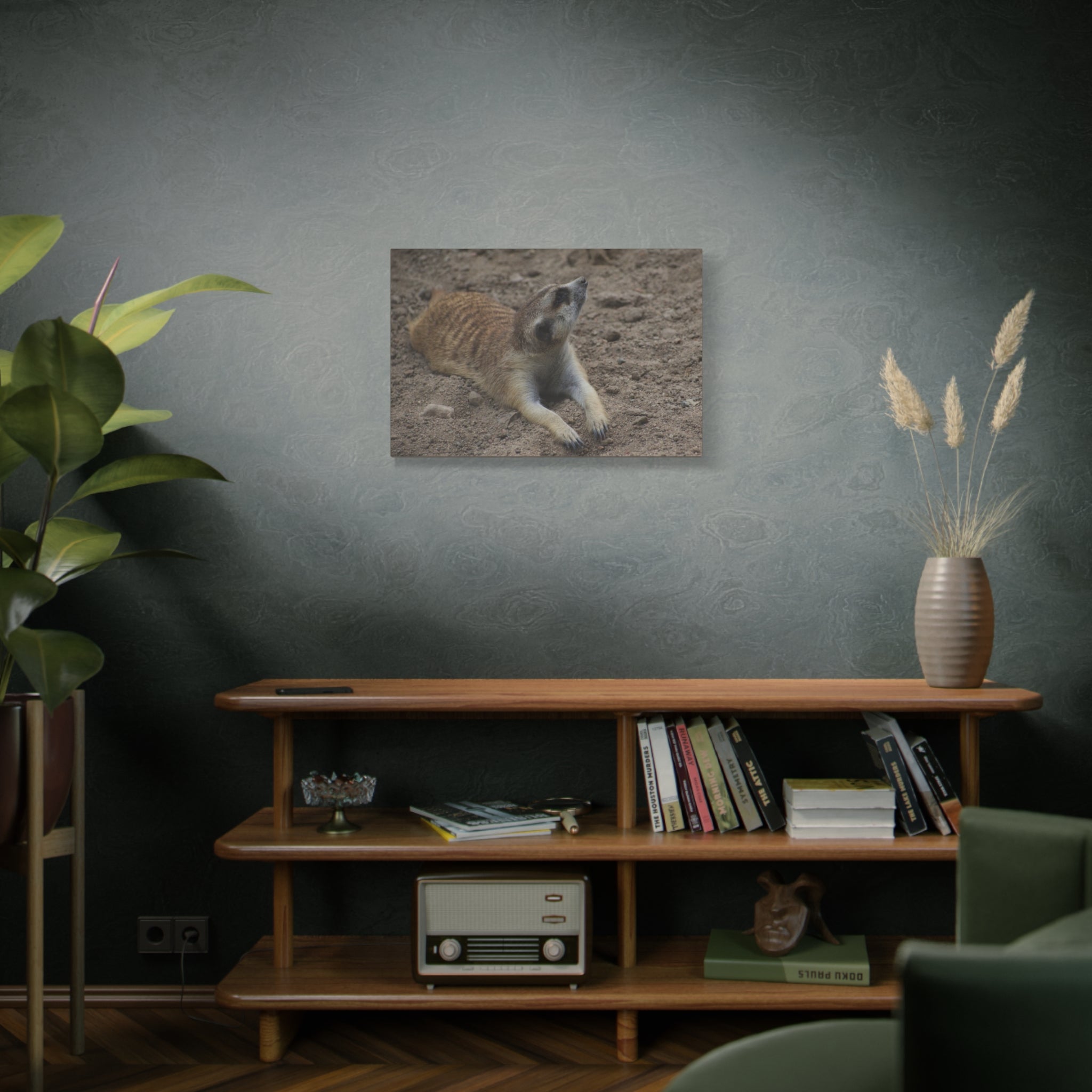 Meerkat Stretch Canvas Wall Art – Relaxed Desert Wildlife Print