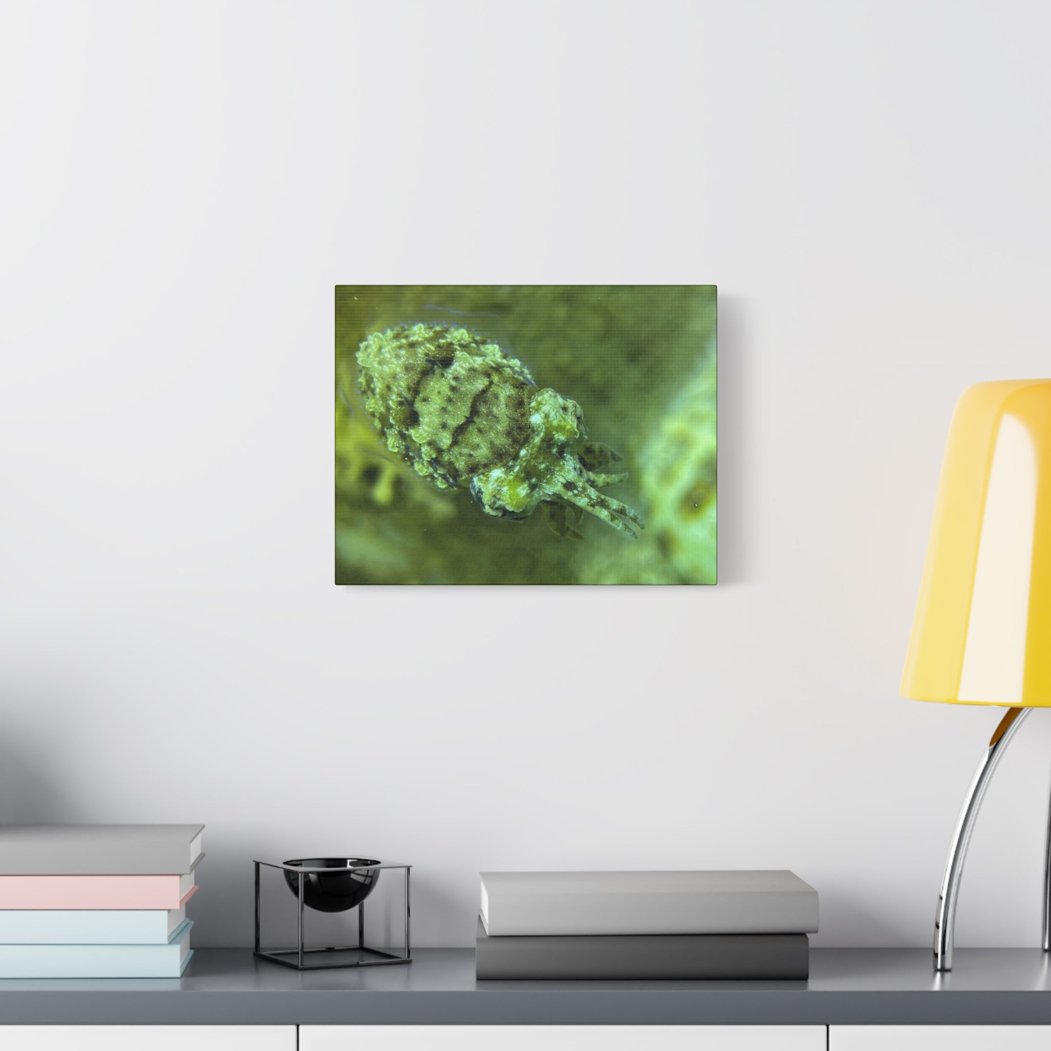 Dwarf Cuttlefish Canvas Print — Matte Stretched Sea Life Wall Art