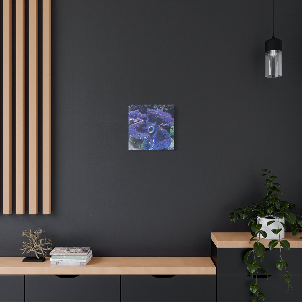 Blue Tridacna Clam Matte Canvas Print — Vibrant Ocean Coral Wall Art