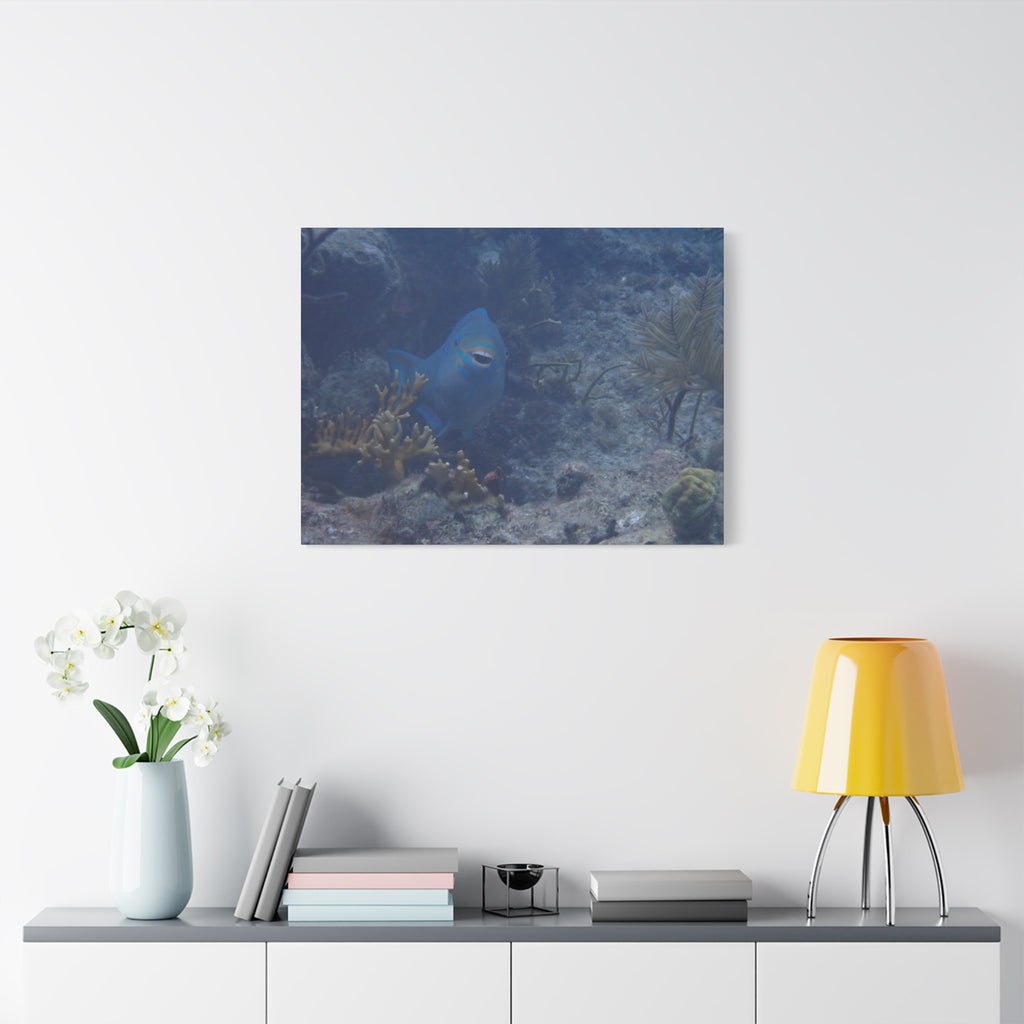 Underwater Parrotfish Canvas Print — Tropical Reef Wall Art