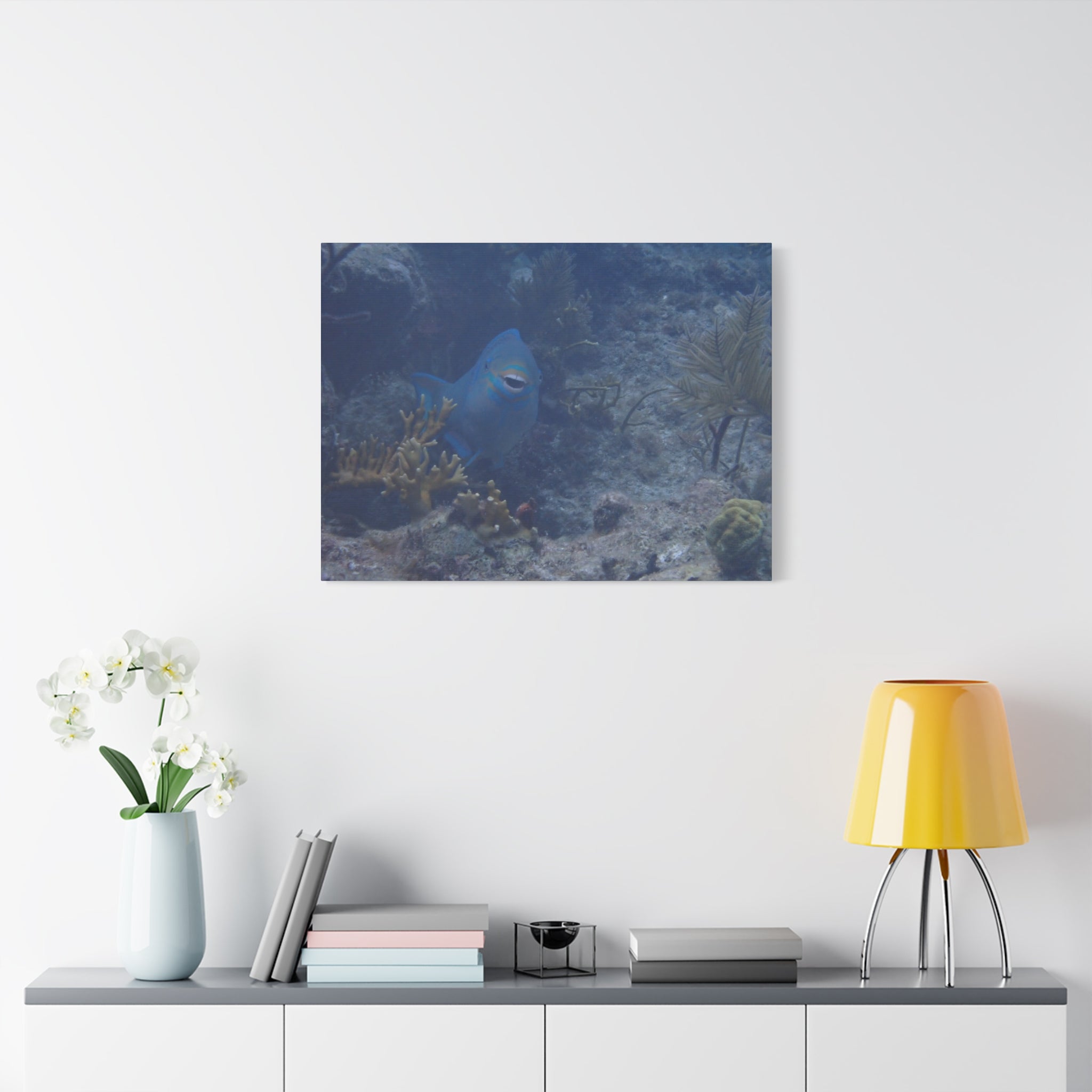 Underwater Parrotfish Canvas Print — Tropical Reef Wall Art