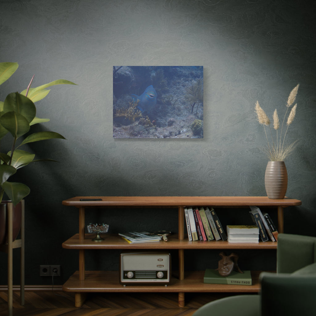 Underwater Parrotfish Canvas Print — Tropical Reef Wall Art