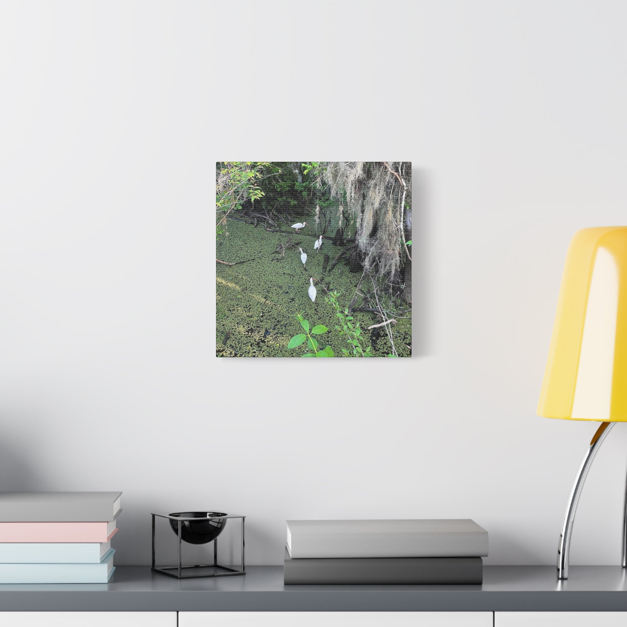 Swamp Egrets Canvas Print — Matte Stretched Nature Wall Art