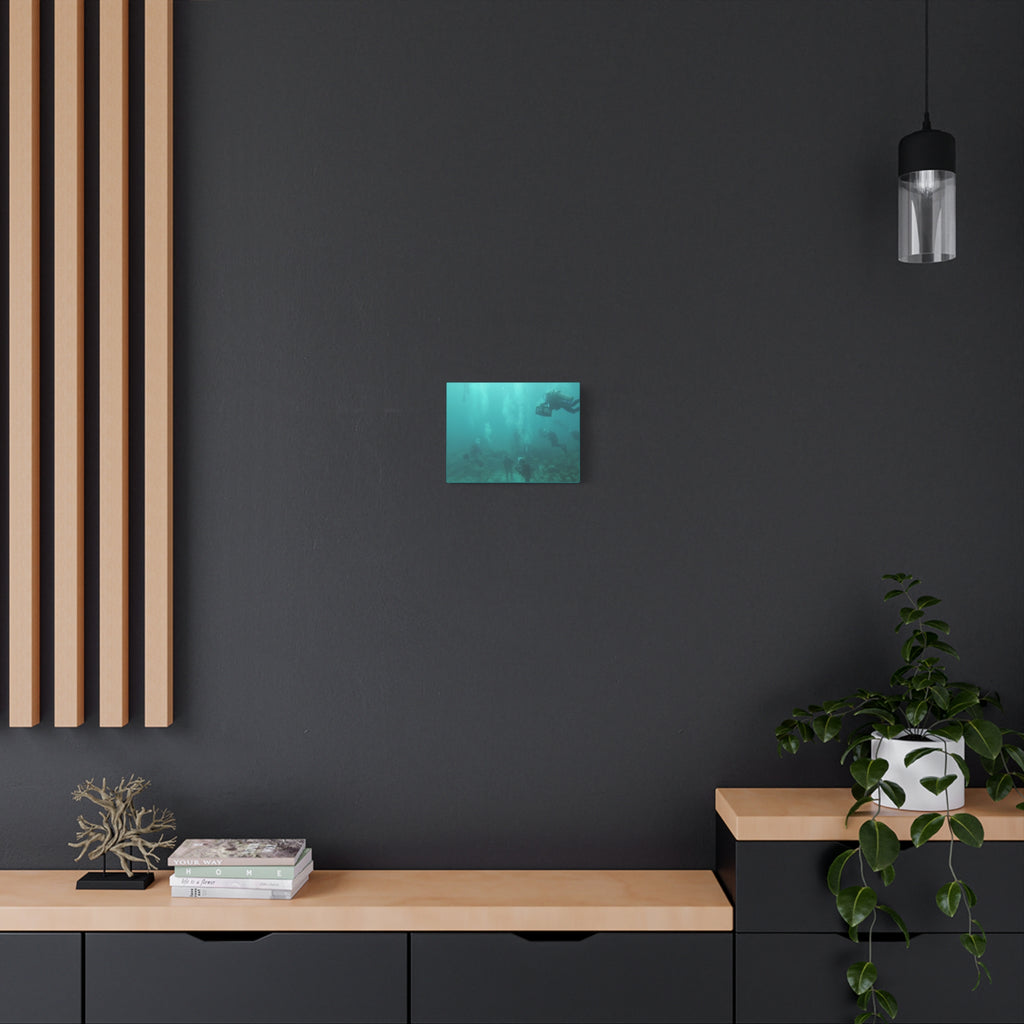 Diving over the Reef Matte Canvas