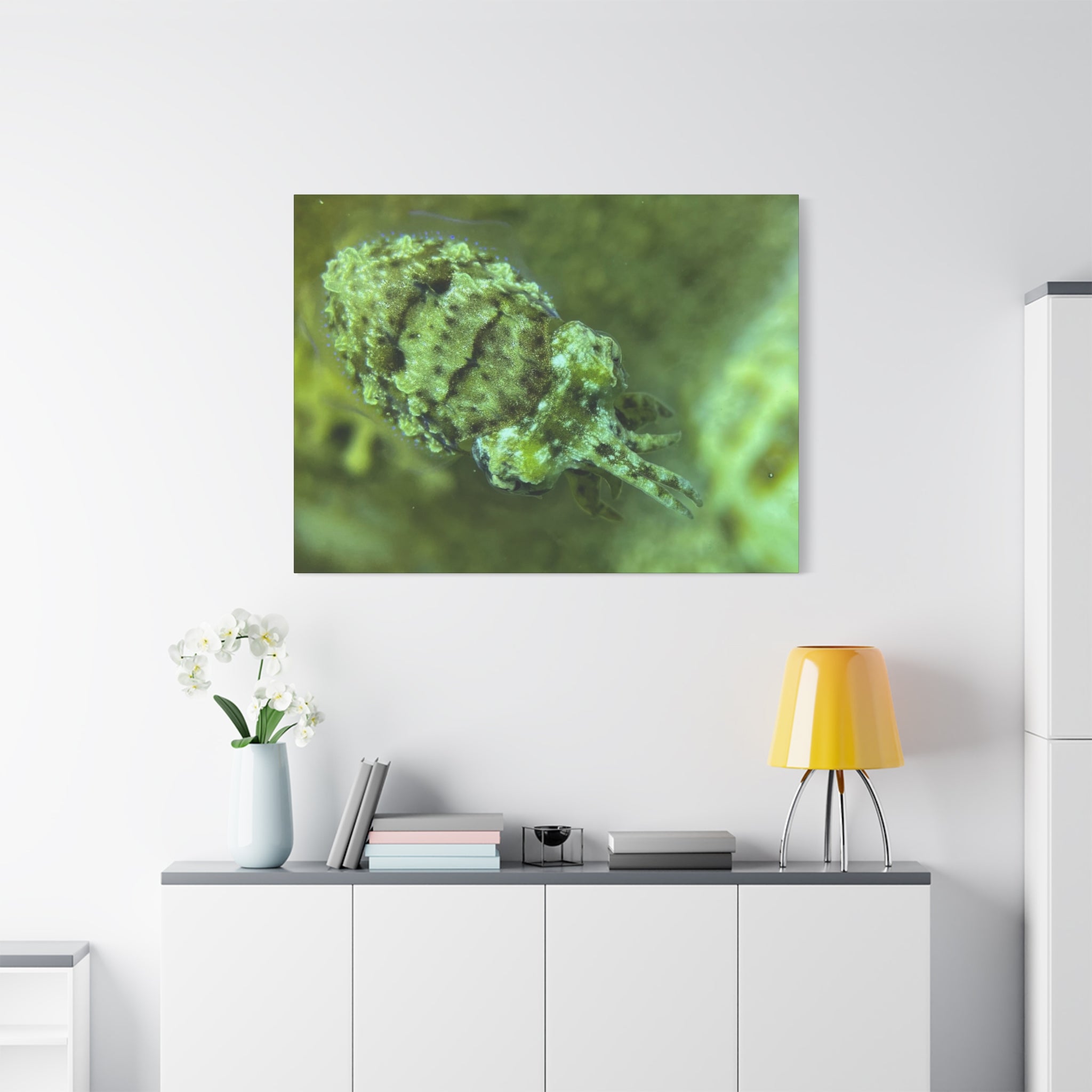 Dwarf Cuttlefish Canvas Print — Matte Stretched Sea Life Wall Art