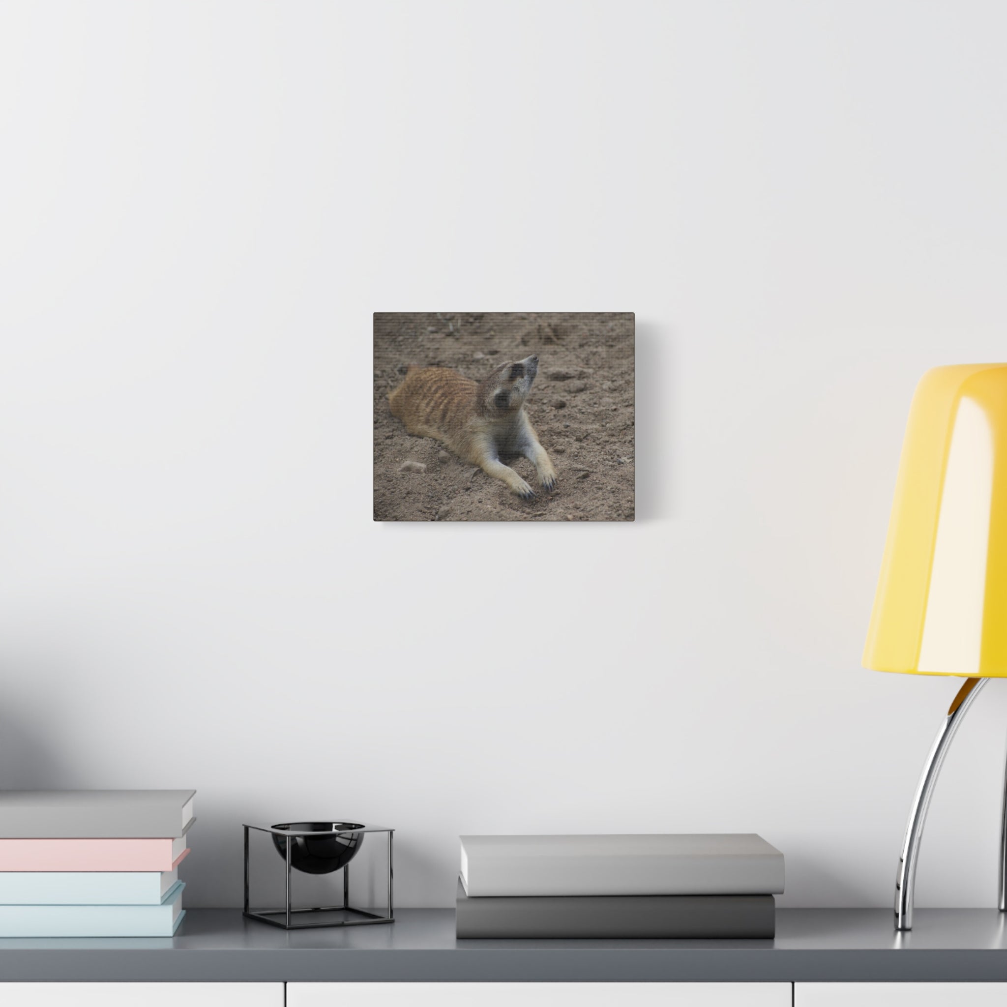 Meerkat Stretch Canvas Wall Art – Relaxed Desert Wildlife Print