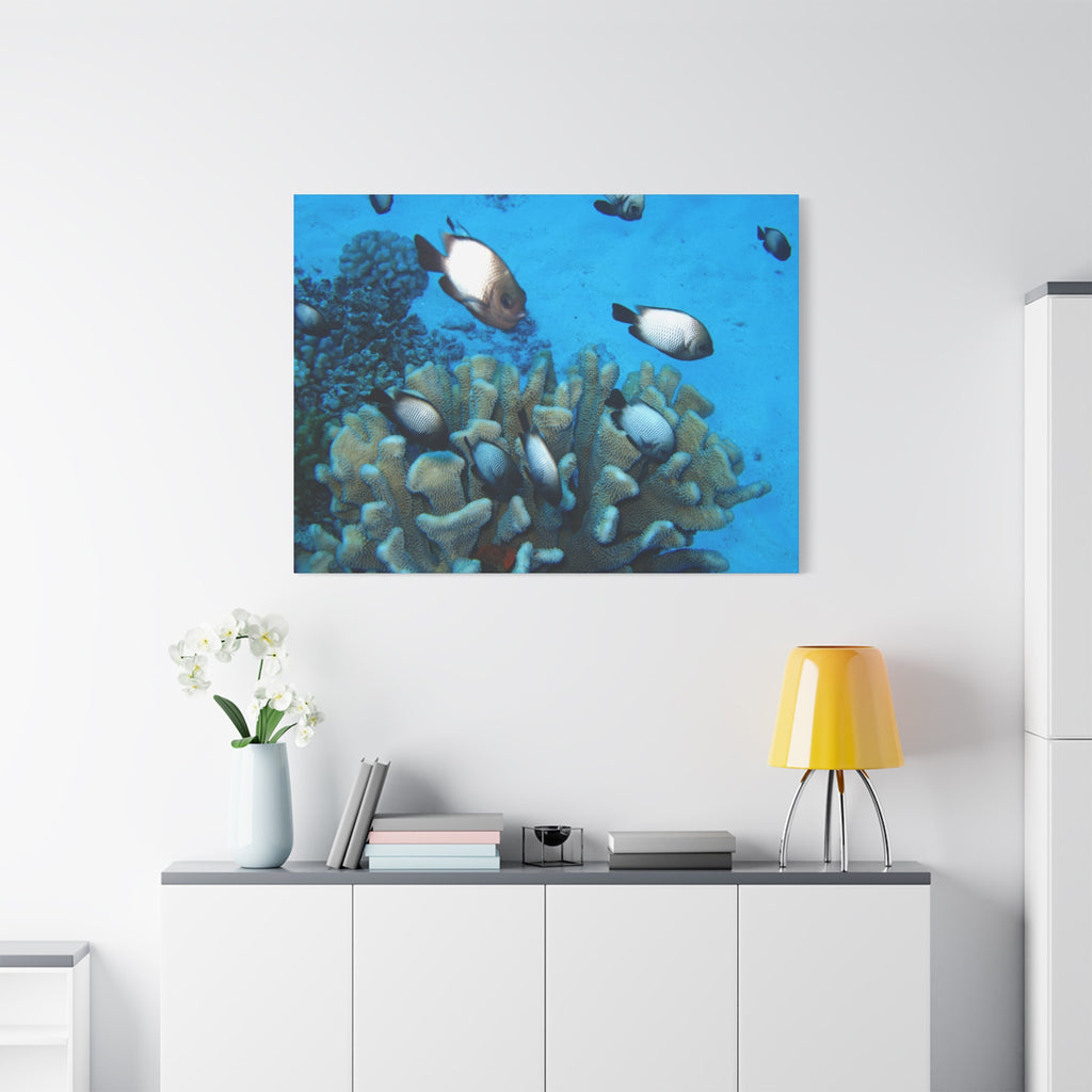 Underwater Coral Reef Canvas Wall Art — Tropical Fish Matte Stretched Canvas