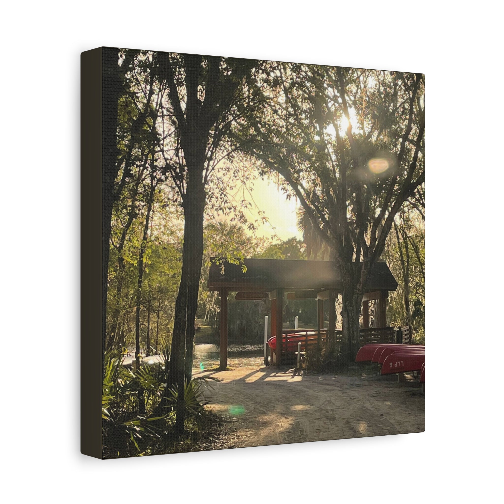 Hazy Morning Kayak - Sunlit Forest Matte Stretched Wall Art