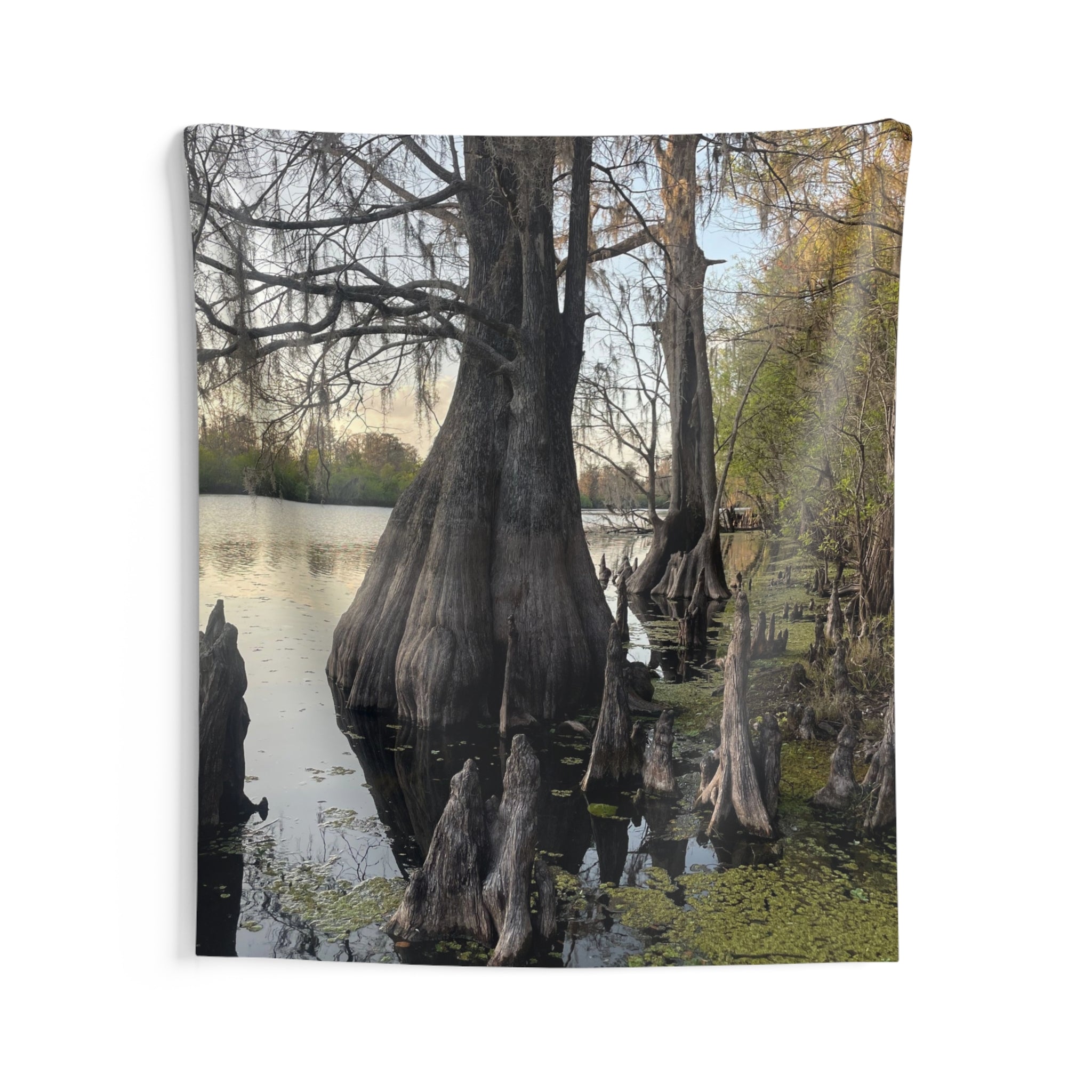Swamp Wall Tapestry — Moody Nature Scene Décor