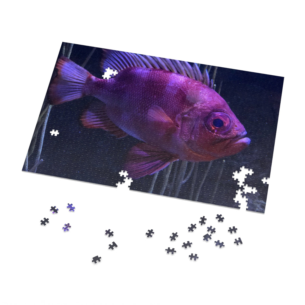 Popeye Catalufa Jigsaw Puzzle — Fish Puzzle with Tin Gift Box