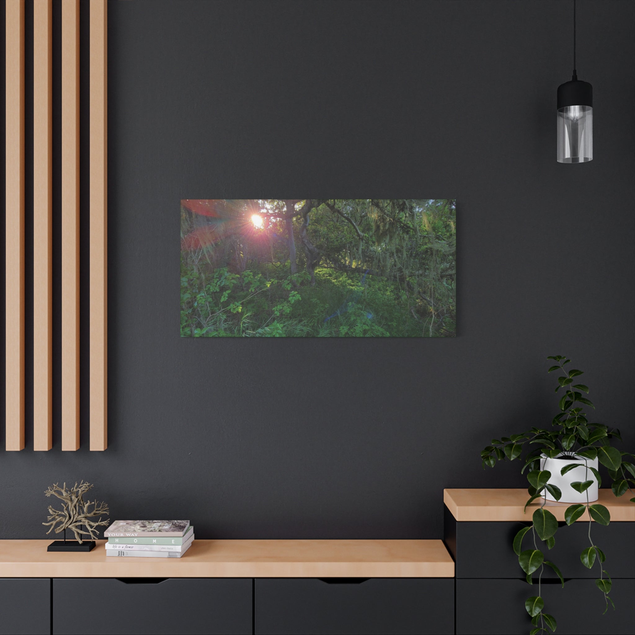Sunlit Mossy Forest Canvas — Matte Stretched Wall Art