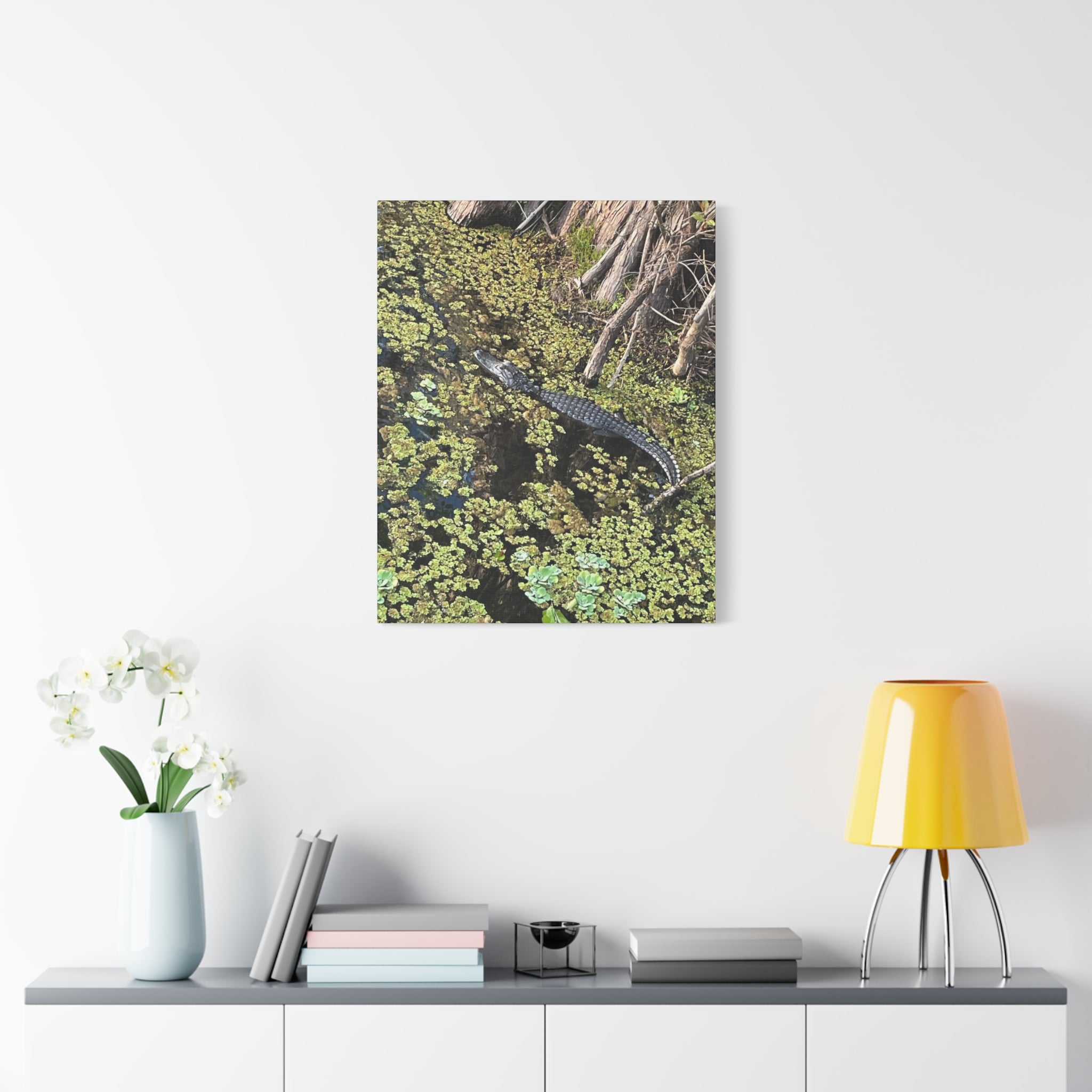 Alligator Photography Canvas Print — Matte Stretched Wall Art