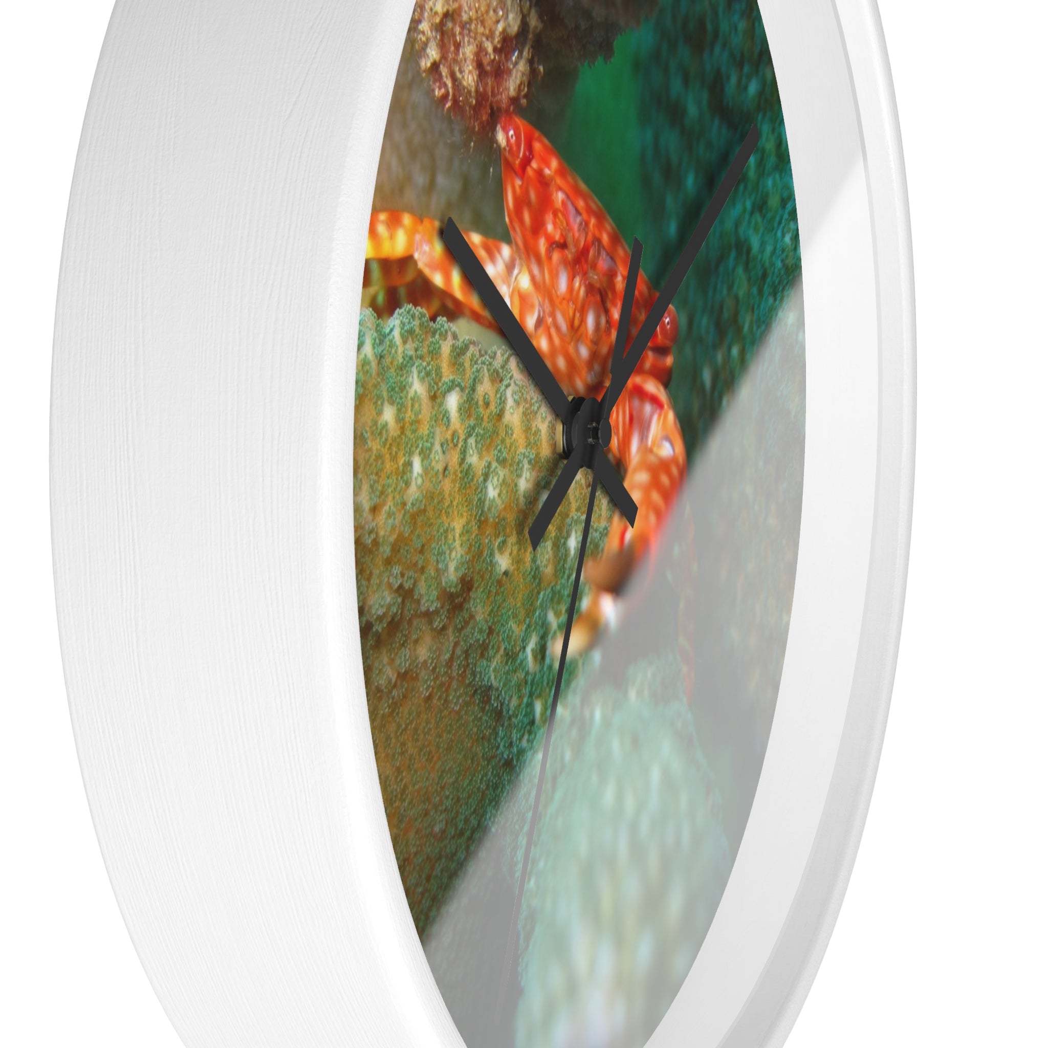 Coral Reef Crab Wall Clock — Vibrant Underwater Ocean Decor