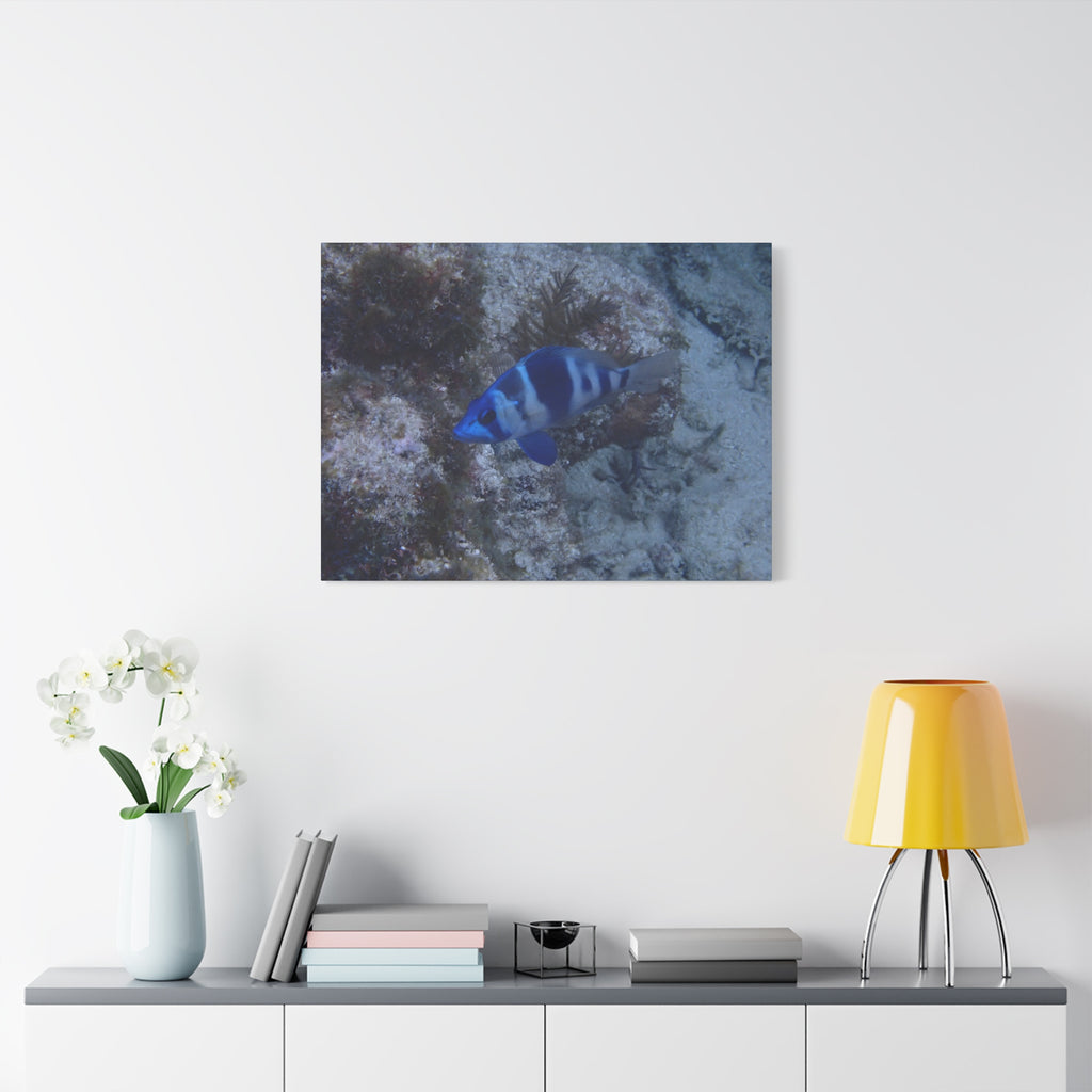 Indigo Hamlet Canvas Print — Underwater Matte Stretched Wall Art