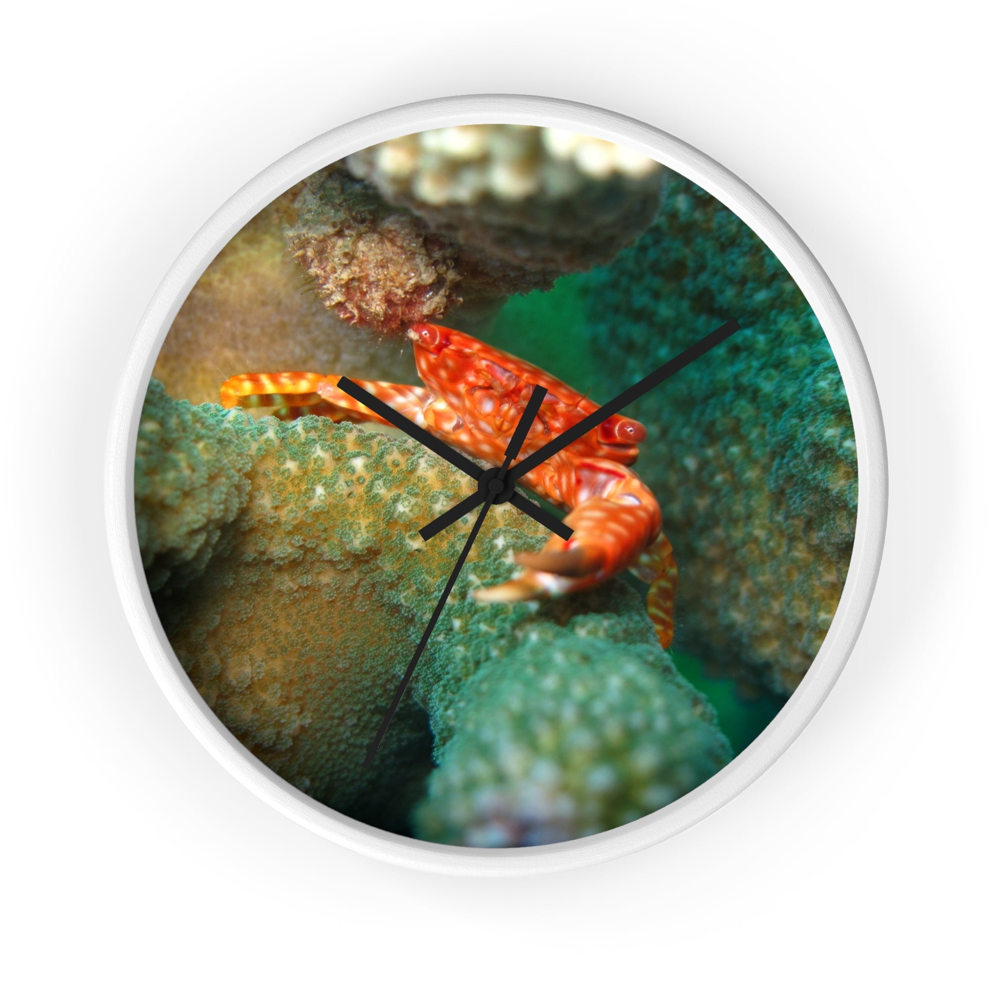 Coral Reef Crab Wall Clock — Vibrant Underwater Ocean Decor