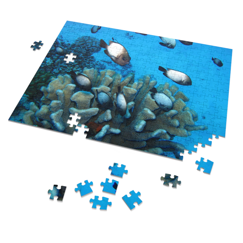 Coral Reef Fish Jigsaw Puzzle (with Tin) - Ocean Puzzle Gift