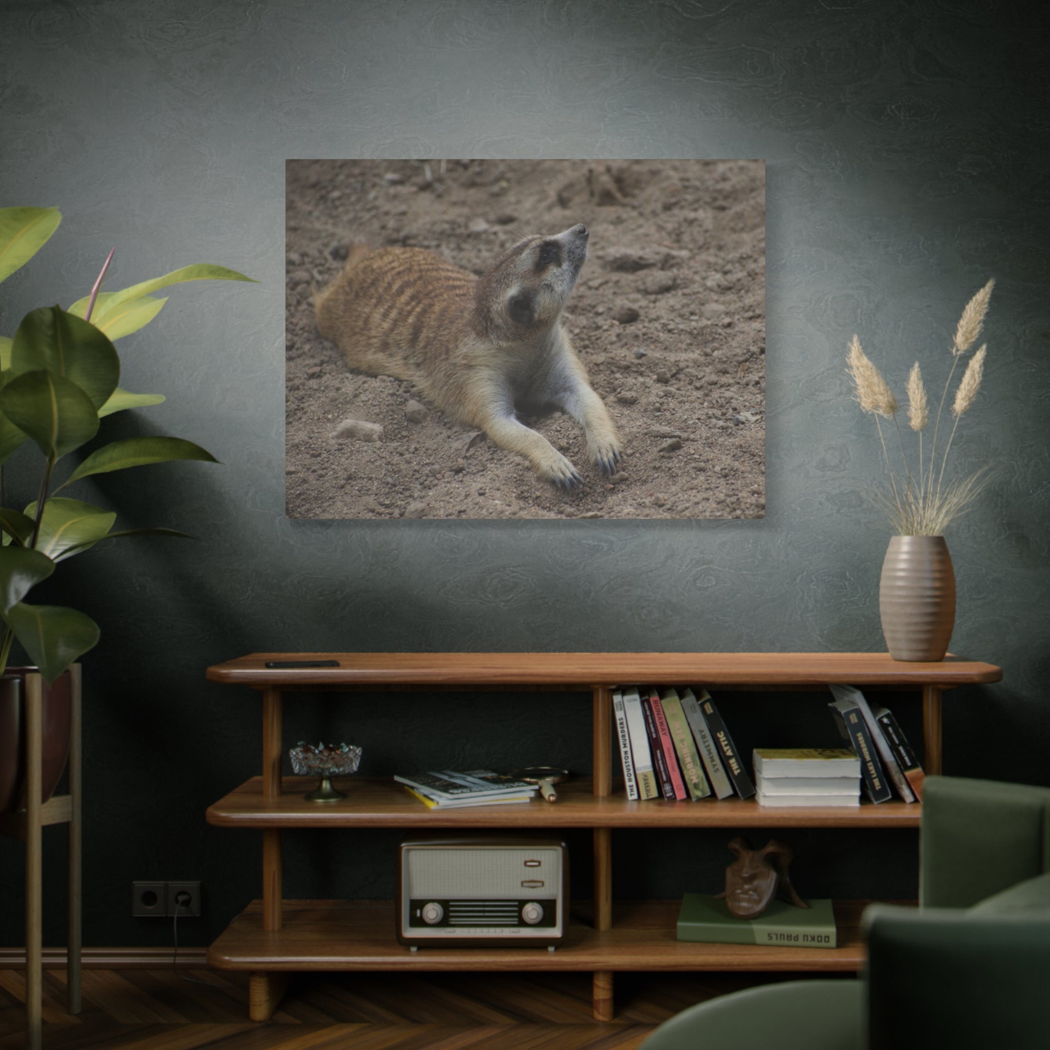Meerkat Stretch Canvas Wall Art – Relaxed Desert Wildlife Print