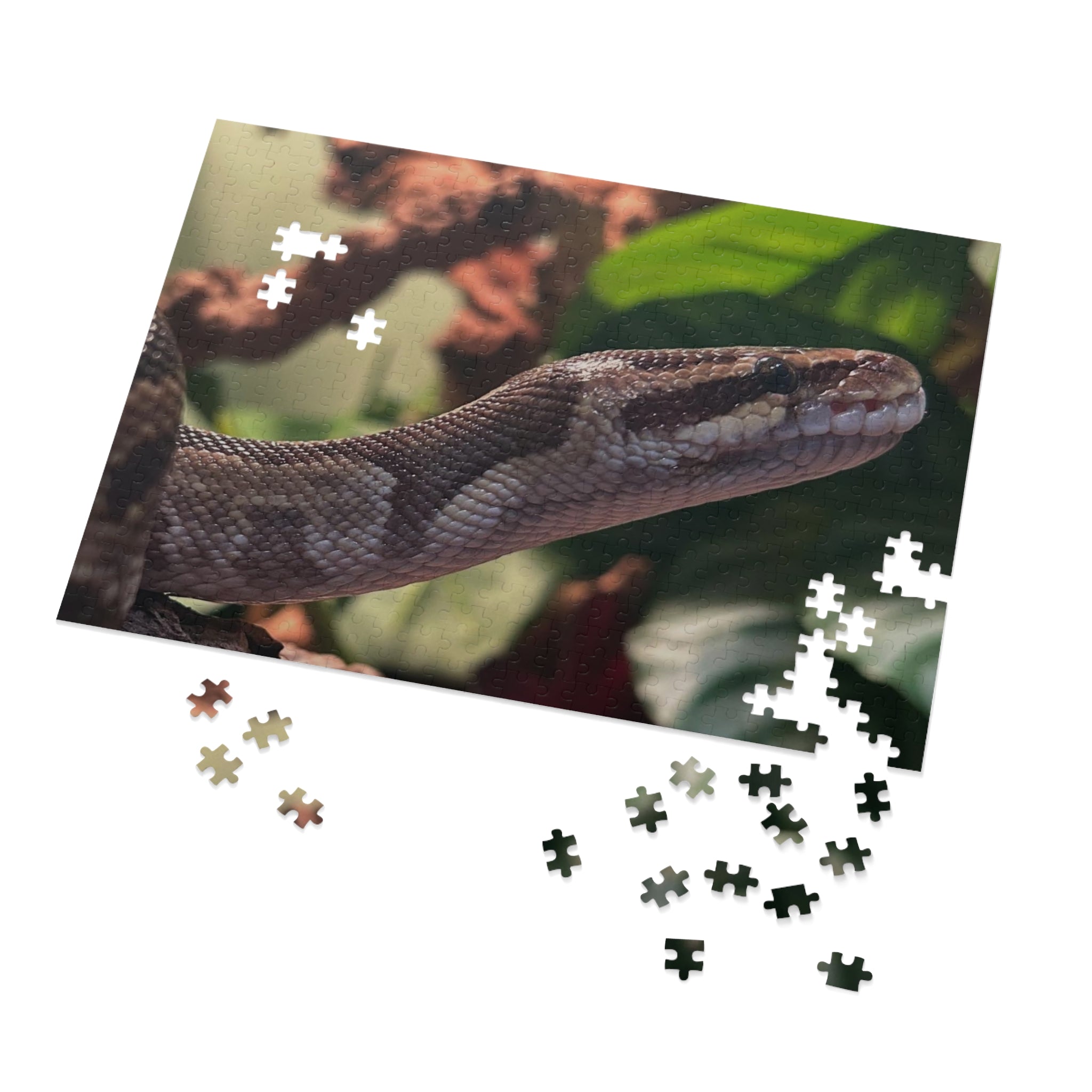 Snake Puzzle — Realistic Ball Python Jigsaw Puzzle with Tin
