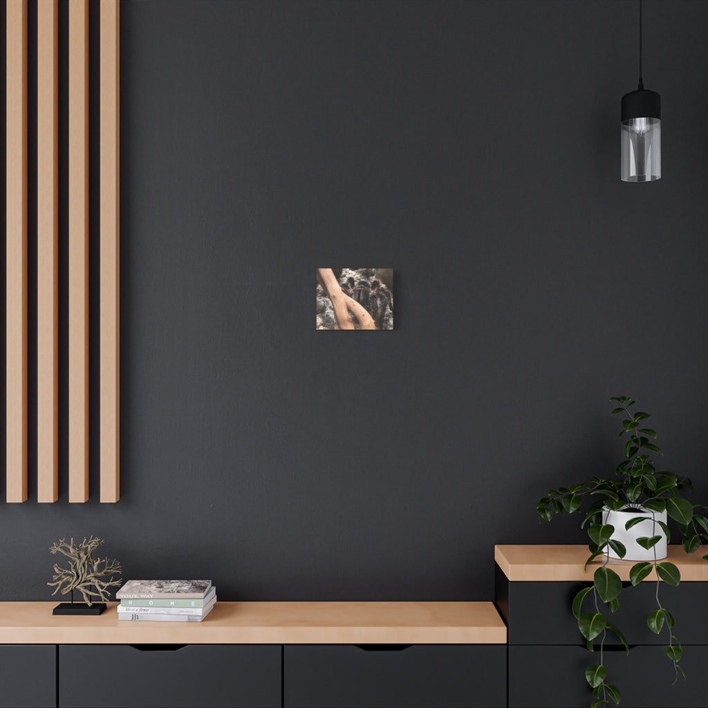 Tarantula Staredown Matte Canvas Print — Naturalistic Arachnid Wall Art