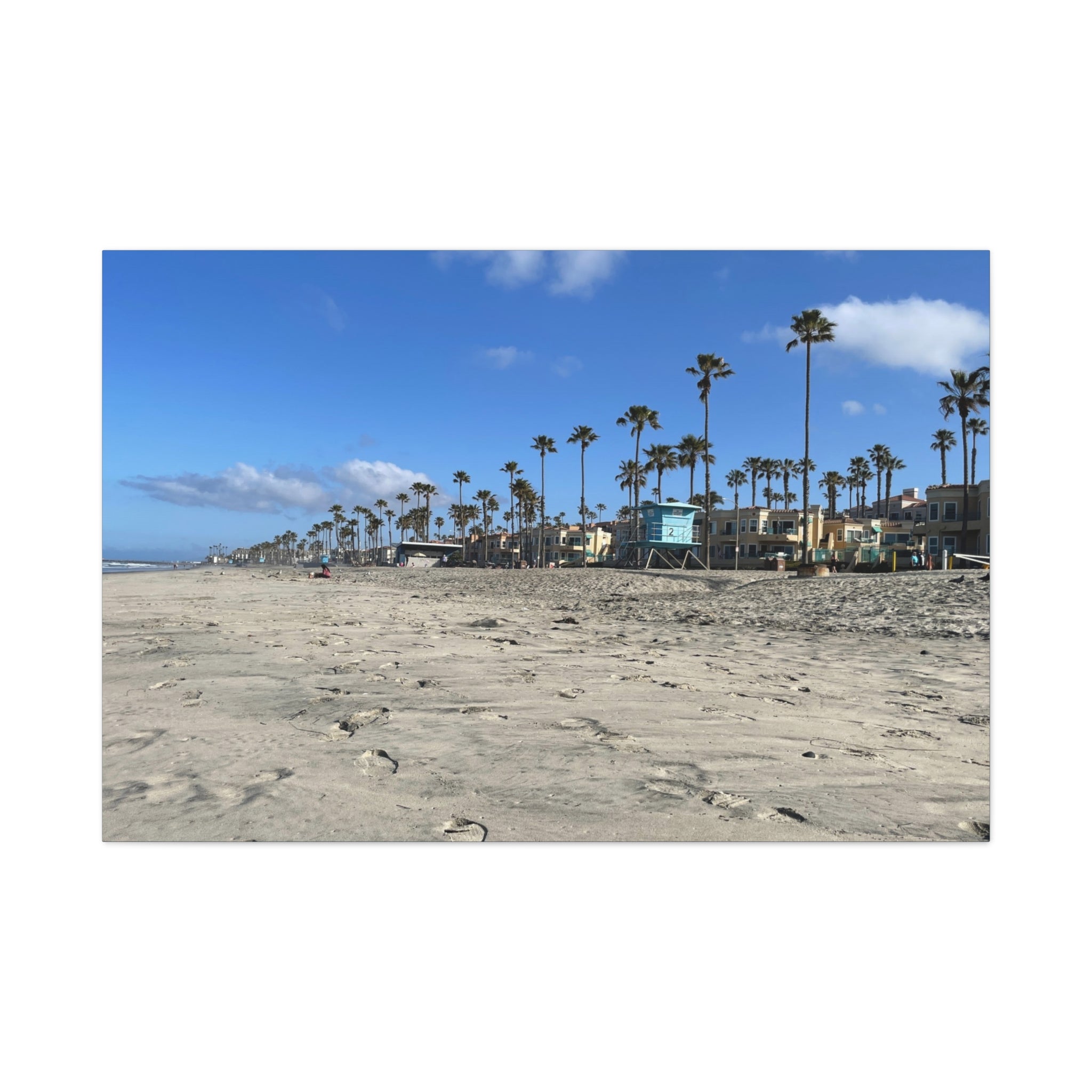 Coastal Palm Beach Canvas Print — Stretched Matte Wall Art