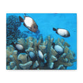 Underwater Coral Reef Canvas Wall Art — Tropical Fish Matte Stretched Canvas