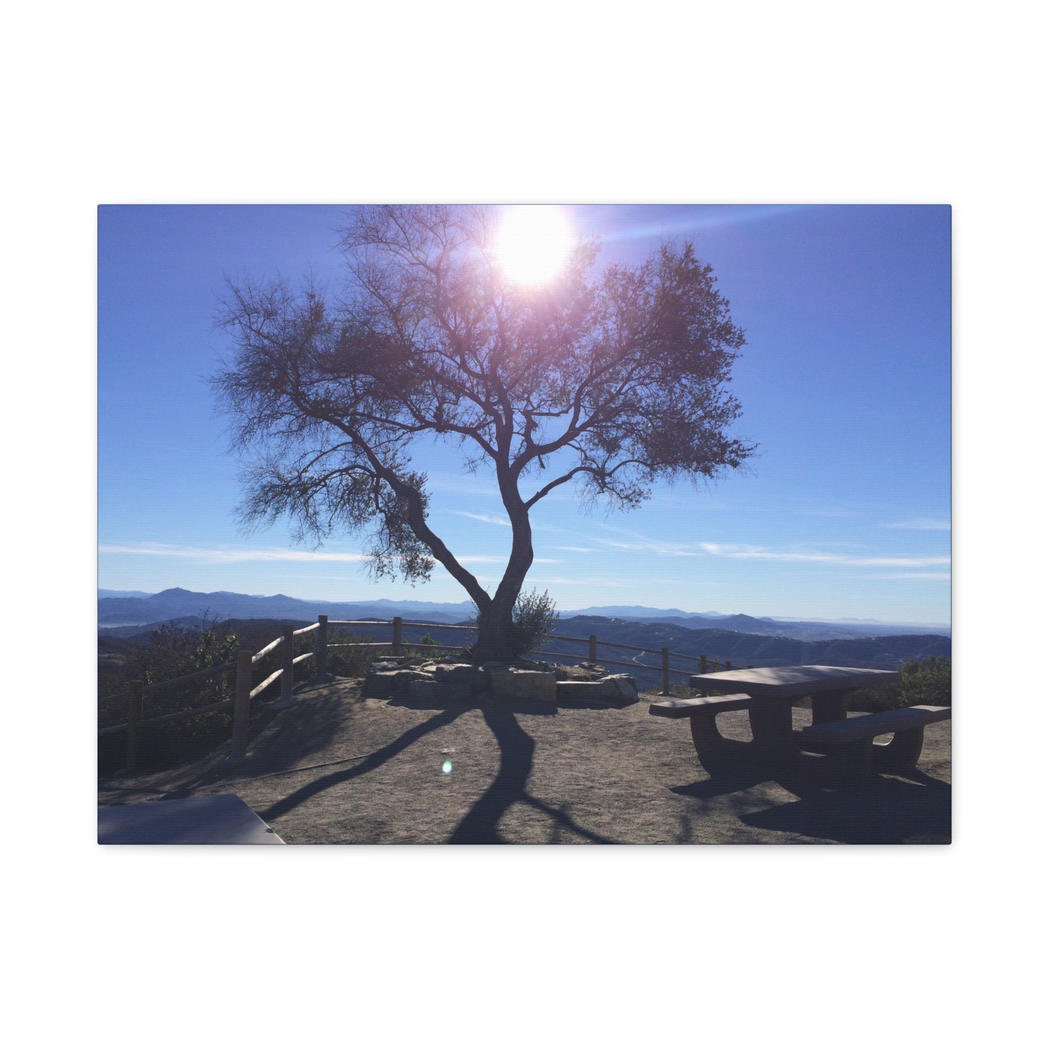 Sunlit Ridge Tree Matte Canvas Print — Scenic Landscape Wall Art