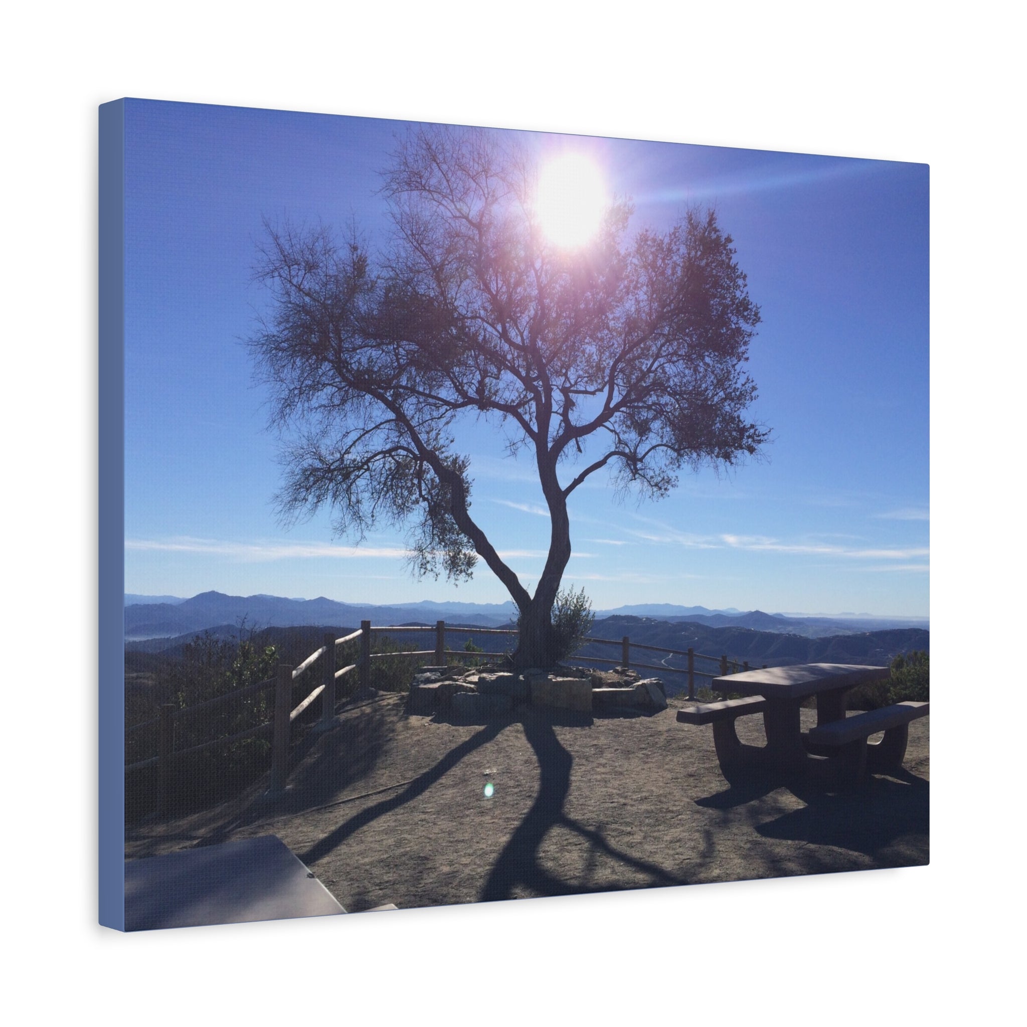Sunlit Ridge Tree Matte Canvas Print — Scenic Landscape Wall Art