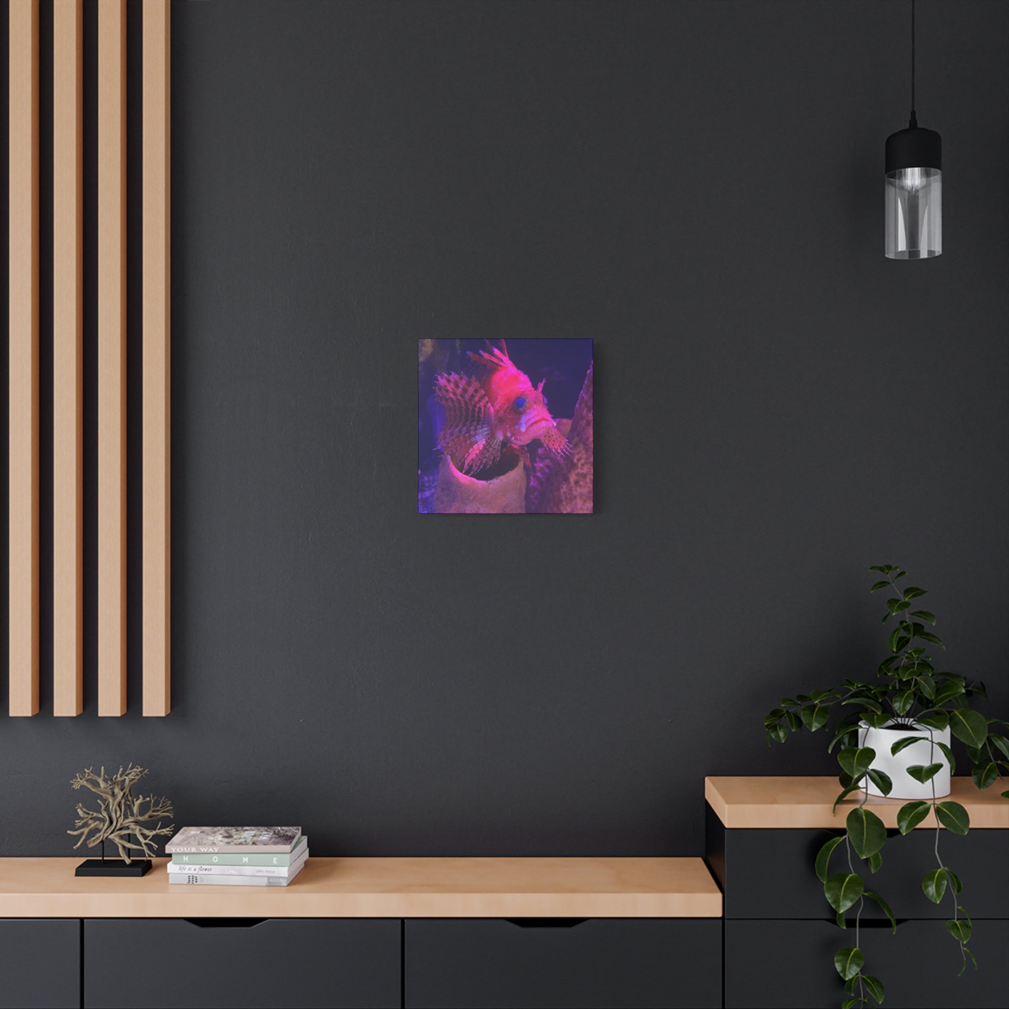 Fuzzy Dwarf Lionfish Canvas Print — Vibrant Marine Wall Art (1.25" Stretched)