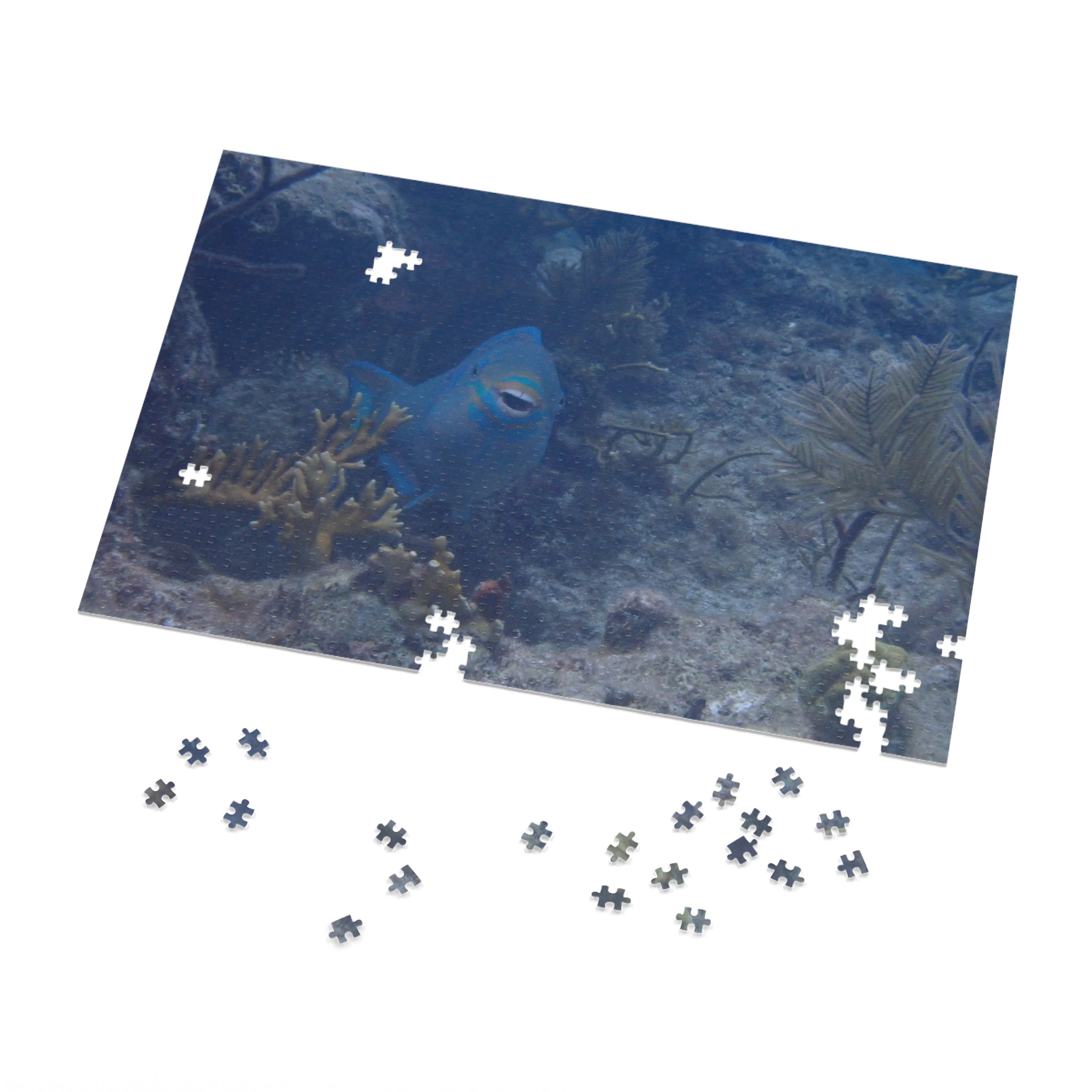 Smiling Parrotfish Jigsaw Puzzle with Tin – Ocean Reef Puzzle Gift