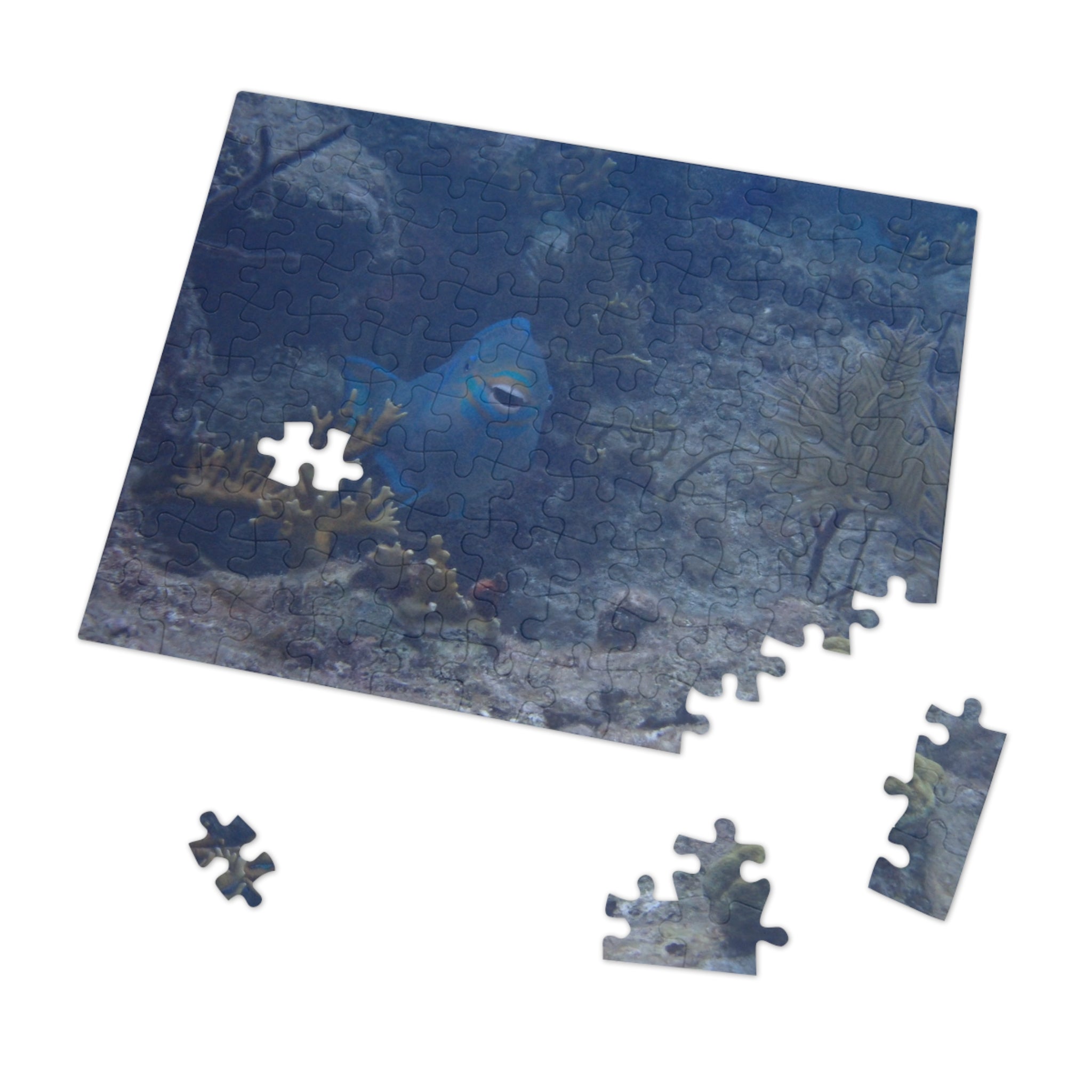 Smiling Parrotfish Jigsaw Puzzle with Tin – Ocean Reef Puzzle Gift
