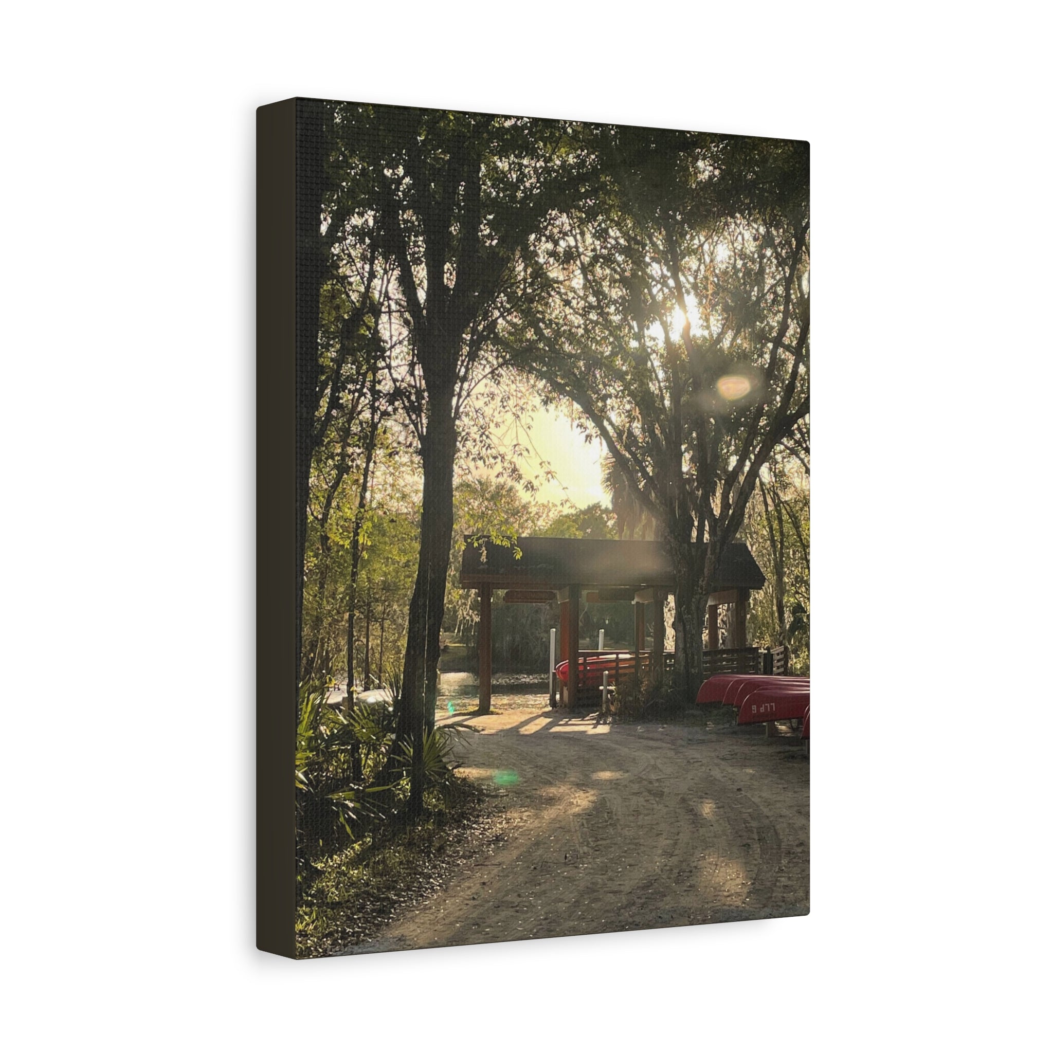 Hazy Morning Kayak - Sunlit Forest Matte Stretched Wall Art